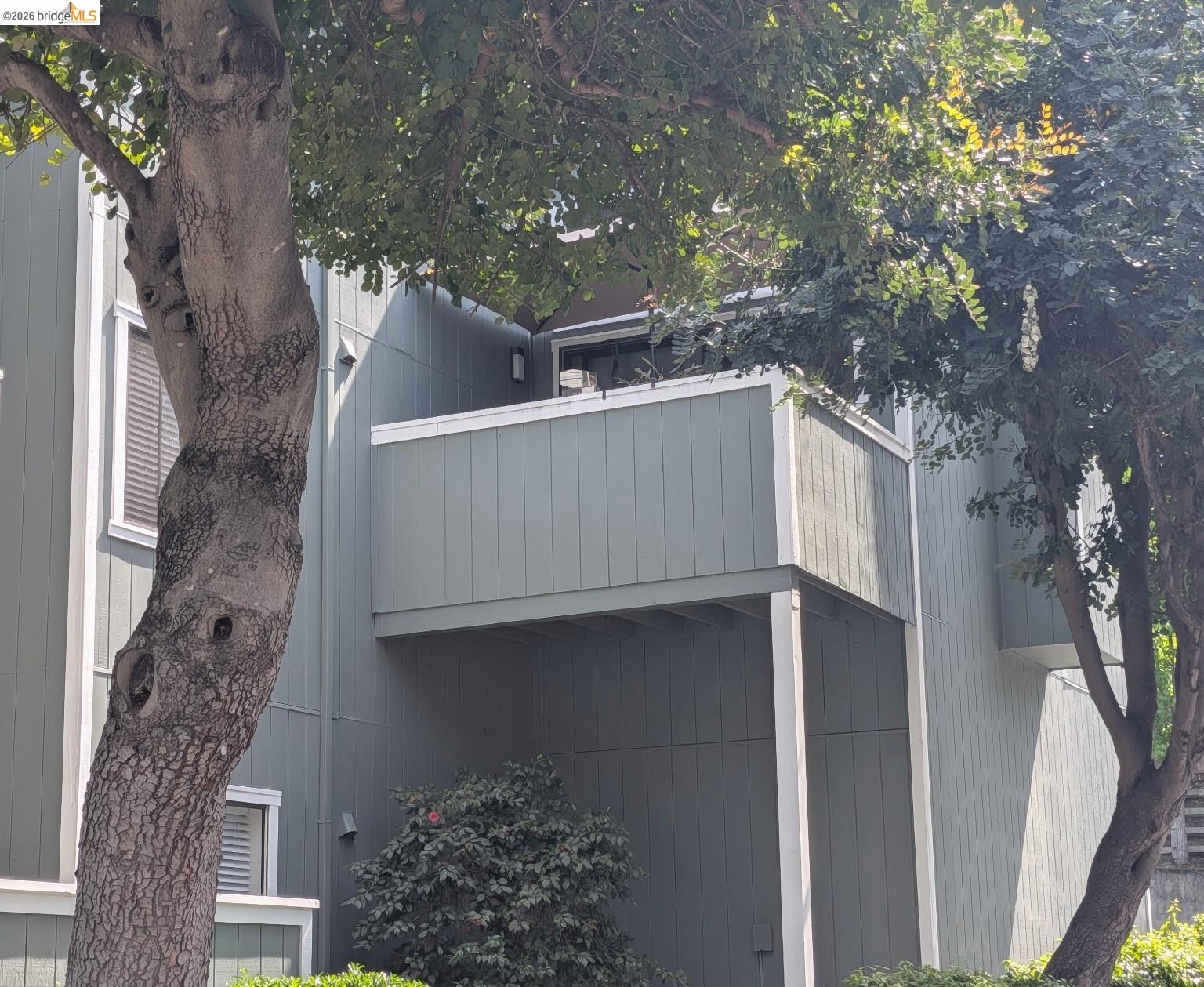 Photo #24: 41130104 Listing: Photo #24