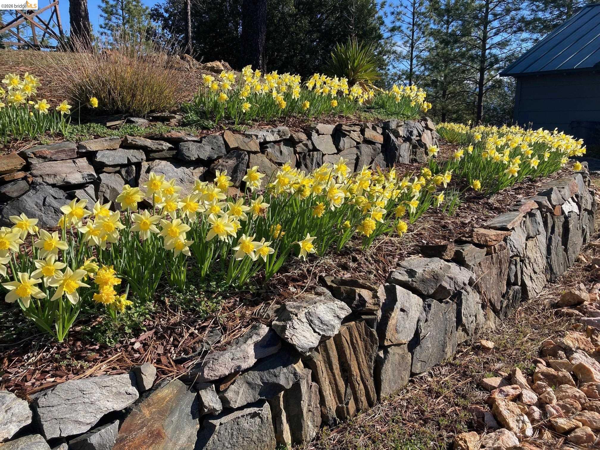 9587 Bondurant Mine Rd., Coulterville CA 95311 — photo 3