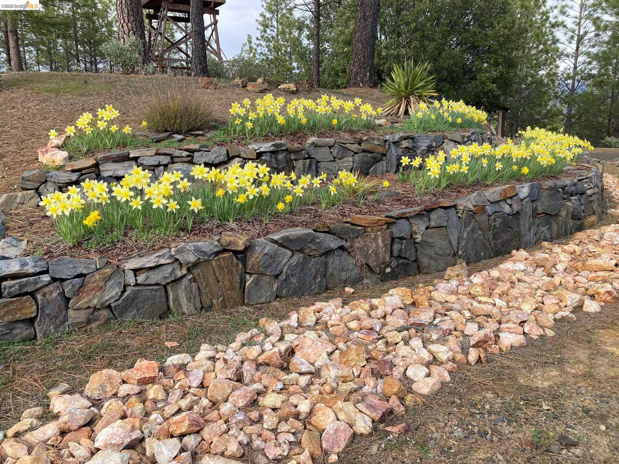 9587 Bondurant Mine Rd., Coulterville CA 95311 — photo 39