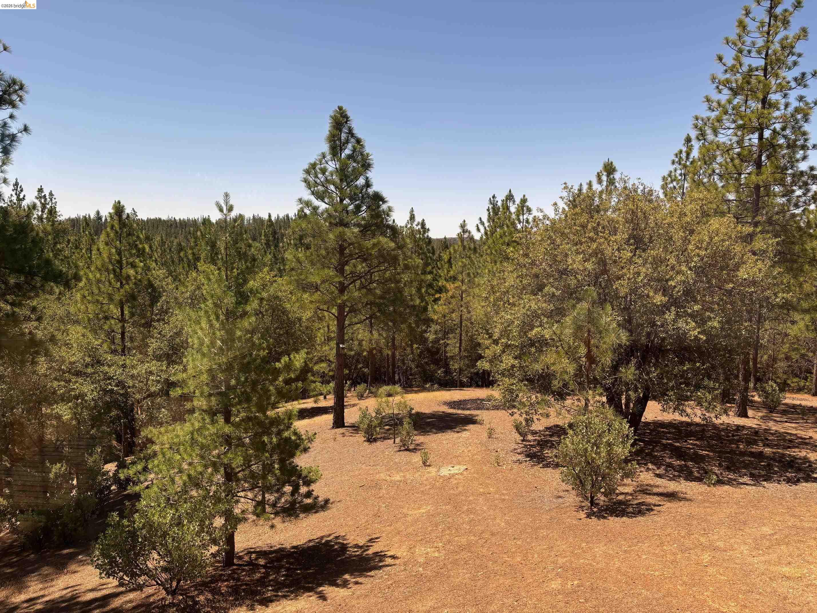 9587 Bondurant Mine Rd., Coulterville CA 95311 — photo 43