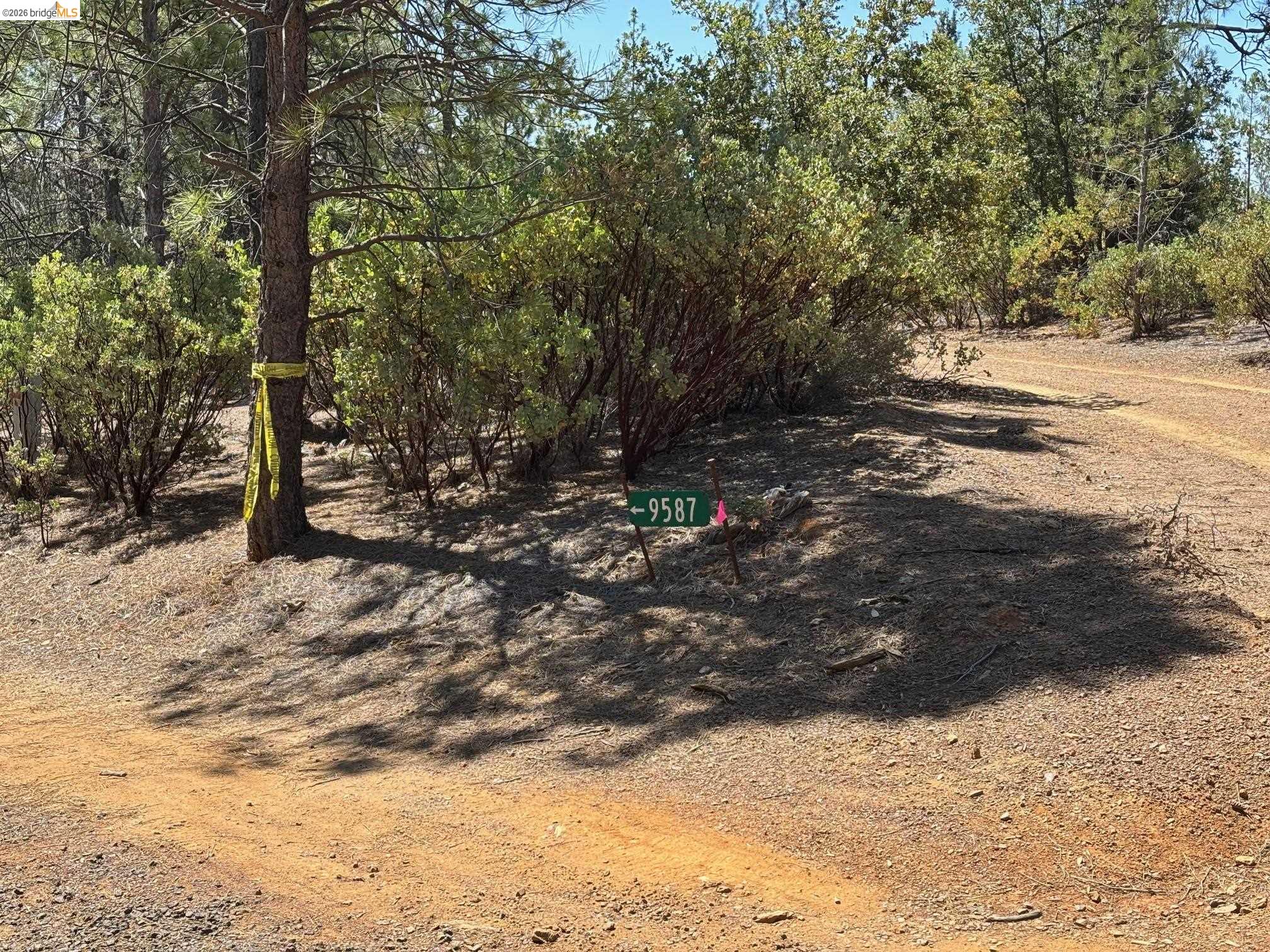 9587 Bondurant Mine Rd., Coulterville CA 95311 — photo 45