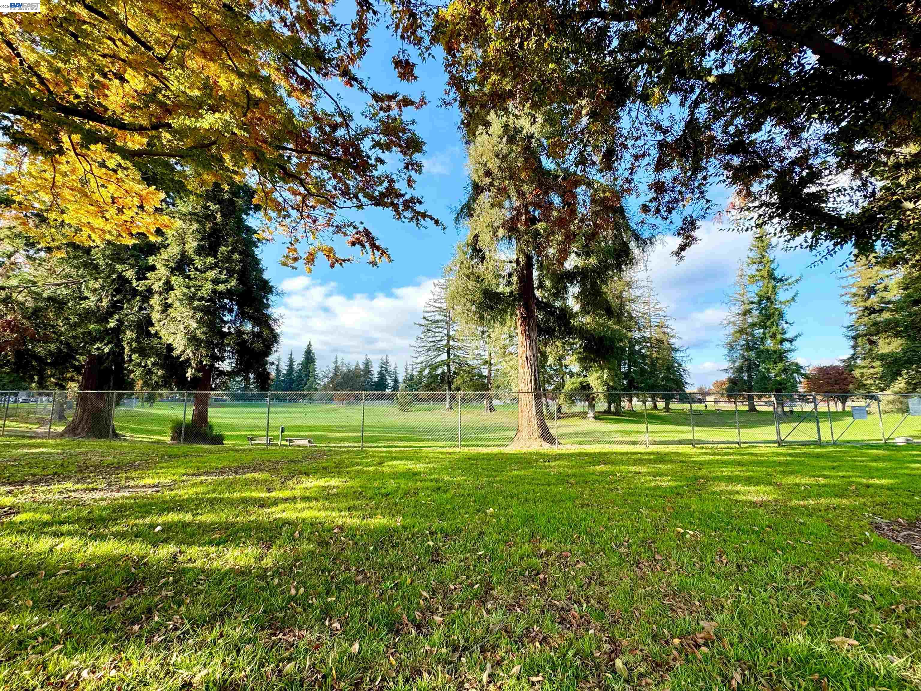 Detail Gallery Image 60 of 60 For 838 Virginia Ave, Lodi,  CA 95242 - 4 Beds | 4/1 Baths