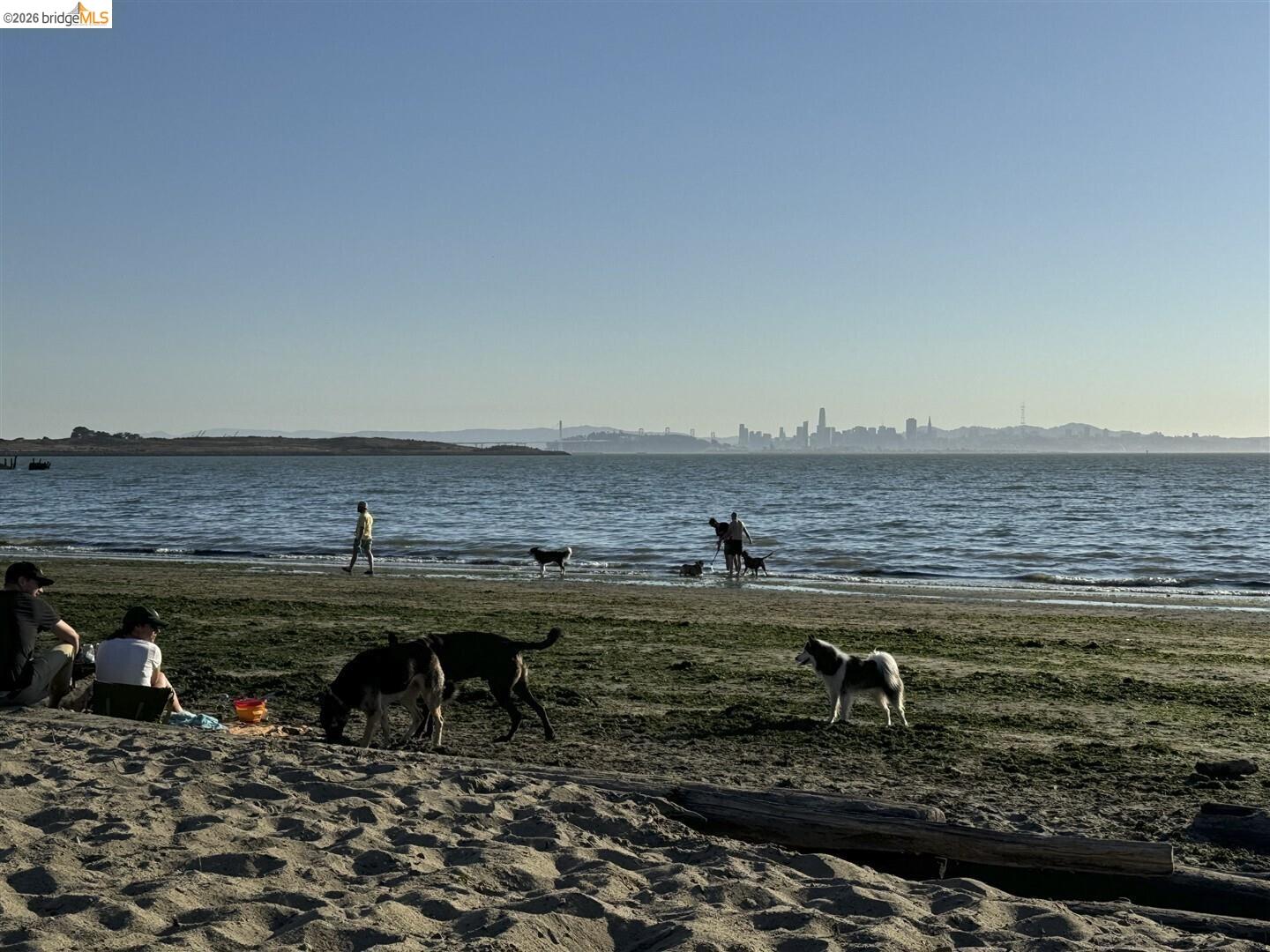 Photo #28: 41130227 Listing: Photo #28