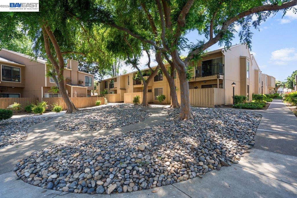 Photo #16: 41130249 Listing: Photo #16