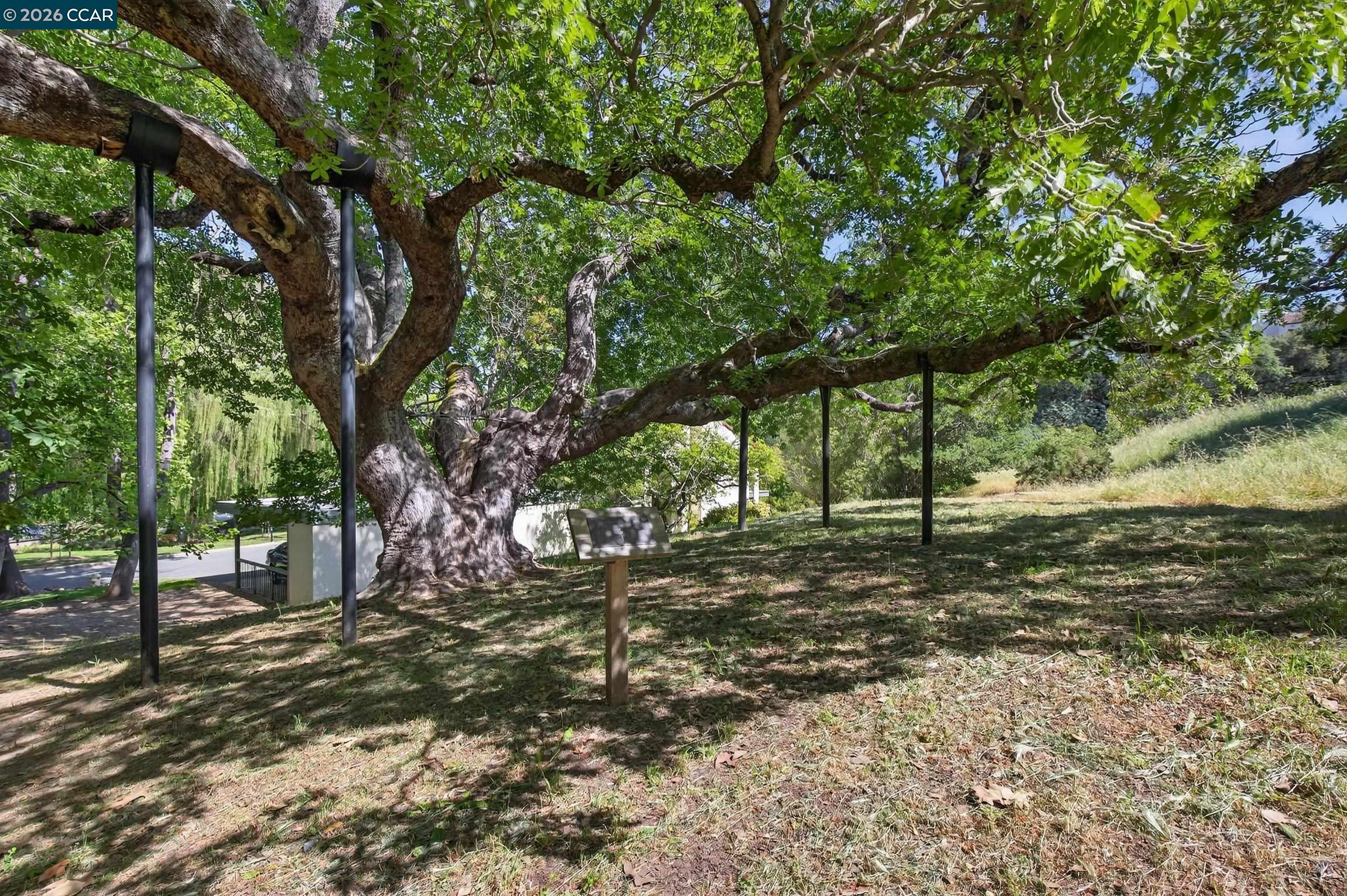 1621 Ptarmigan Dr. UNIT 2A, Walnut Creek, CA, 94595