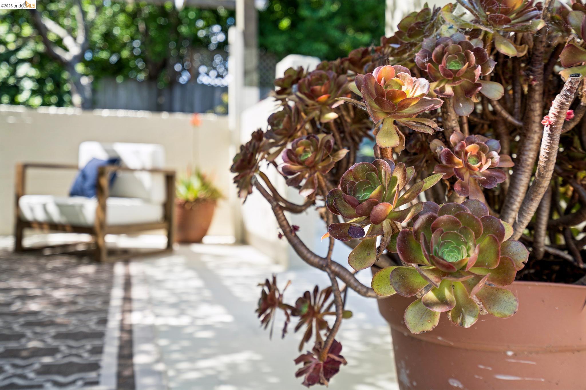 3631 Lyon Ave, Oakland, CA, 94601