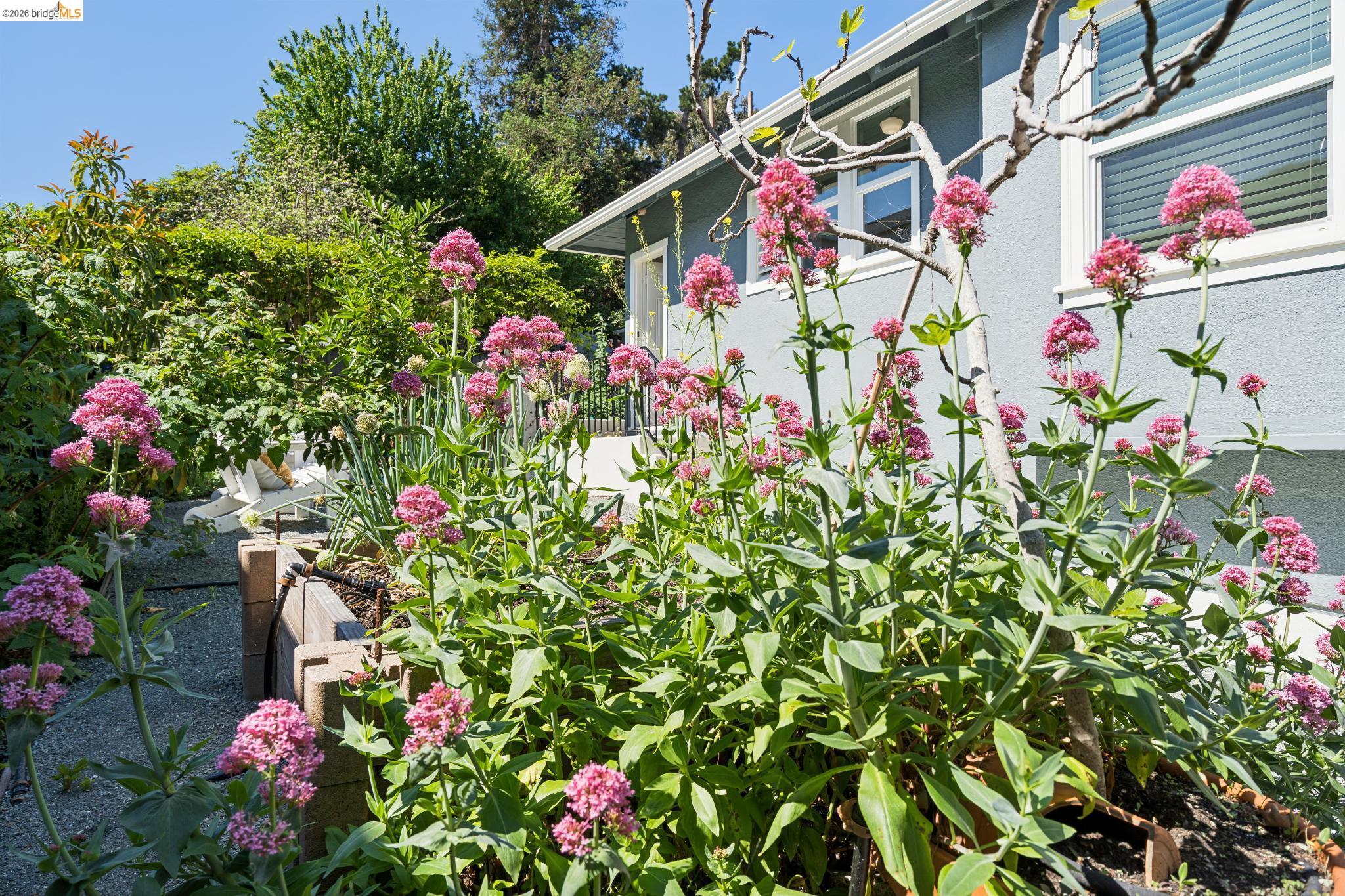 3631 Lyon Ave, Oakland, CA, 94601