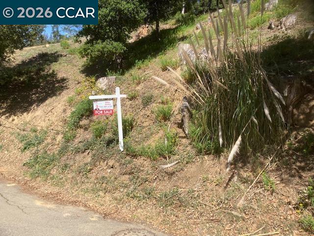 Detail Gallery Image 11 of 11 For 0000 Woodrow Drive, Oakland,  CA 94611 - – Beds | – Baths