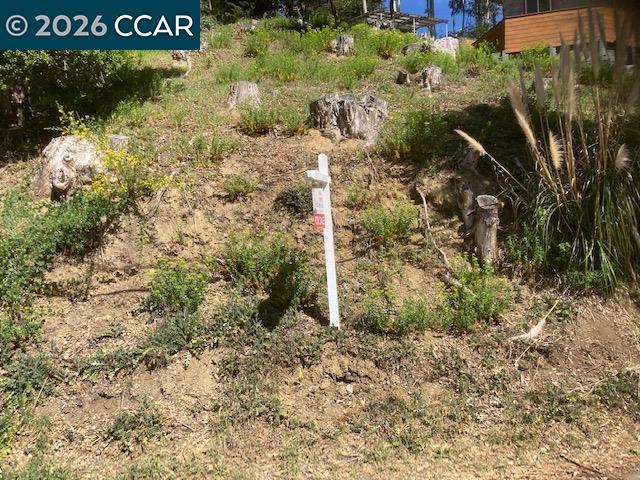 Detail Gallery Image 3 of 11 For 0000 Woodrow Drive, Oakland,  CA 94611 - – Beds | – Baths