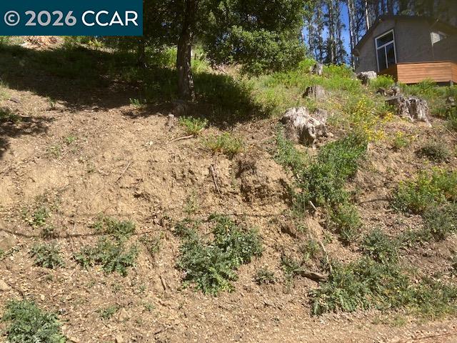 Detail Gallery Image 4 of 11 For 0000 Woodrow Drive, Oakland,  CA 94611 - – Beds | – Baths