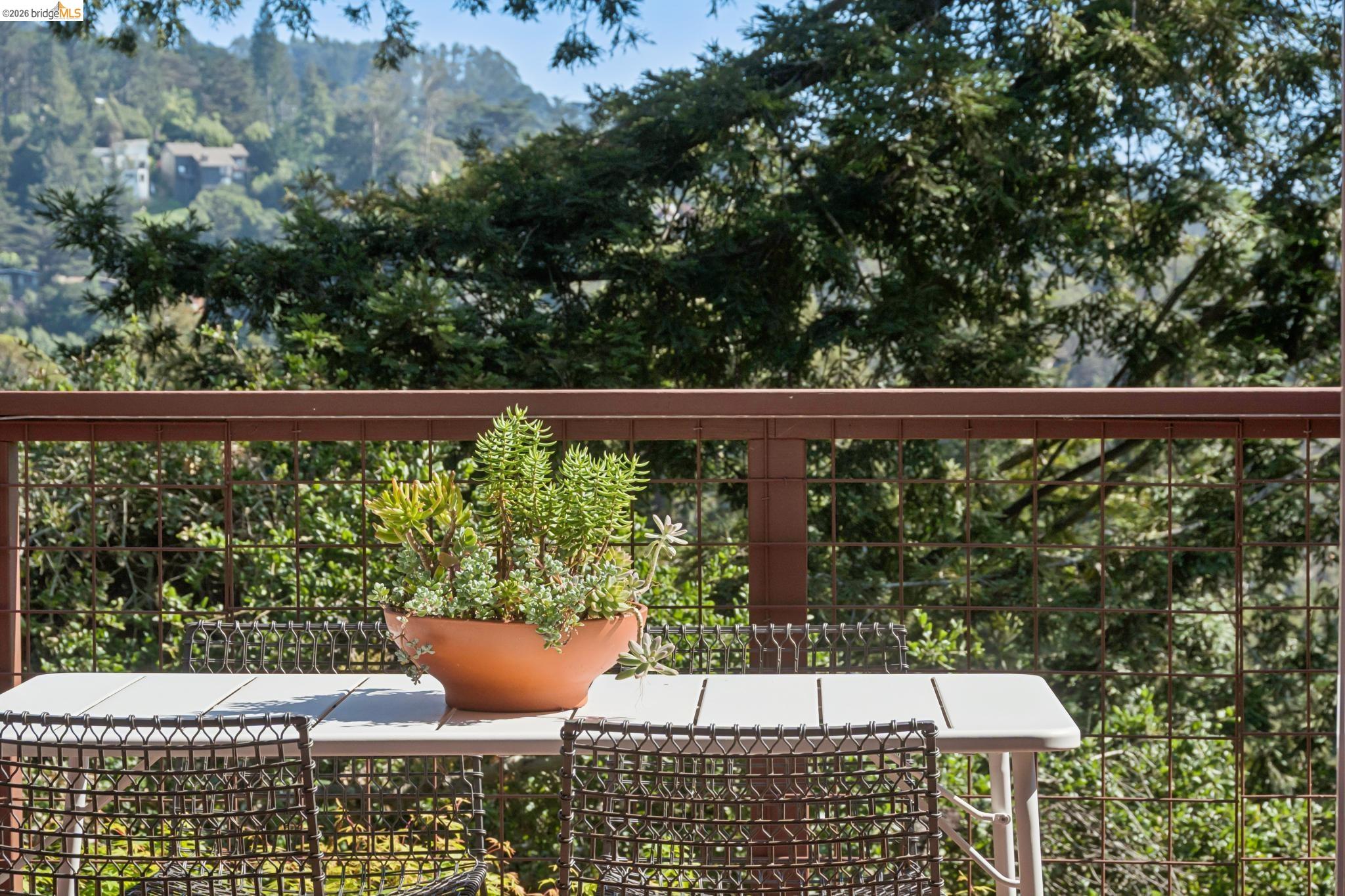 Detail Gallery Image 21 of 47 For 6874 Chambers Dr., Oakland,  CA 94611 - 3 Beds | 2/1 Baths