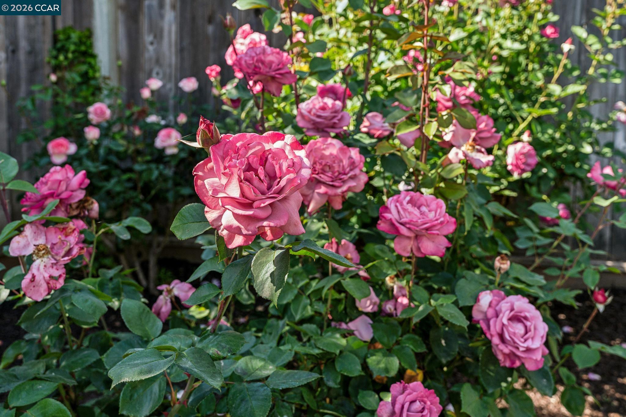 Detail Gallery Image 36 of 36 For 152 Tharp Dr, Moraga,  CA 94556 - 3 Beds | 3 Baths