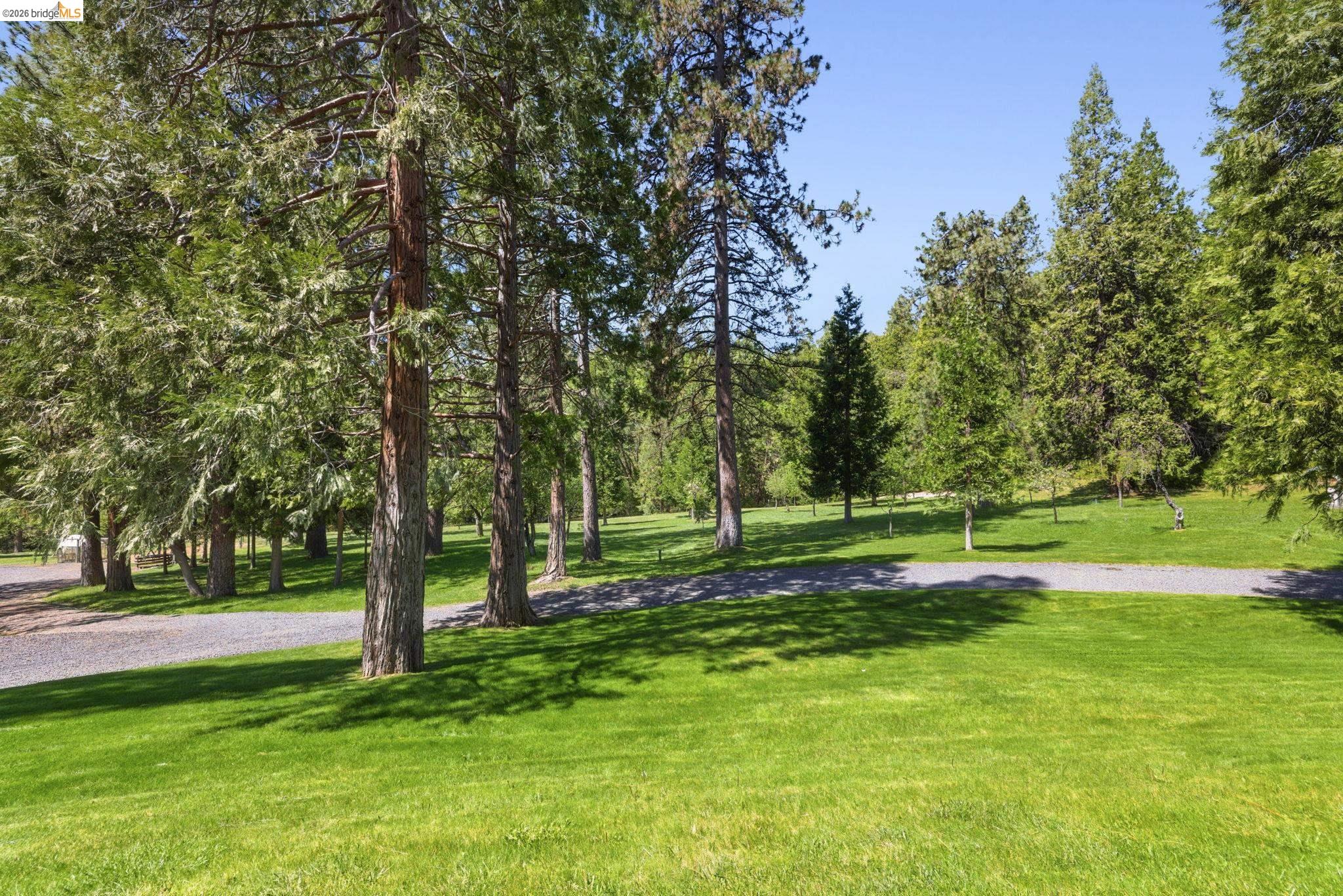 23443 Middle Camp, Twain Harte CA 95383 — photo 38