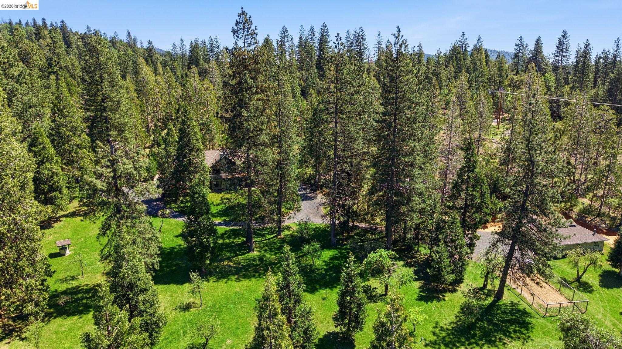 23443 Middle Camp, Twain Harte CA 95383 — photo 53