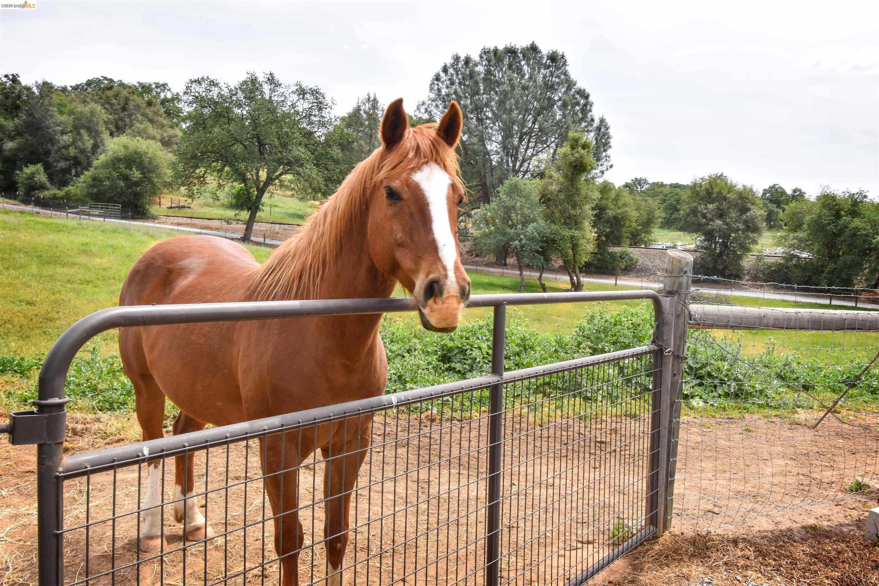 9955 Bell Mooney Rd, Jamestown, CA, 95327