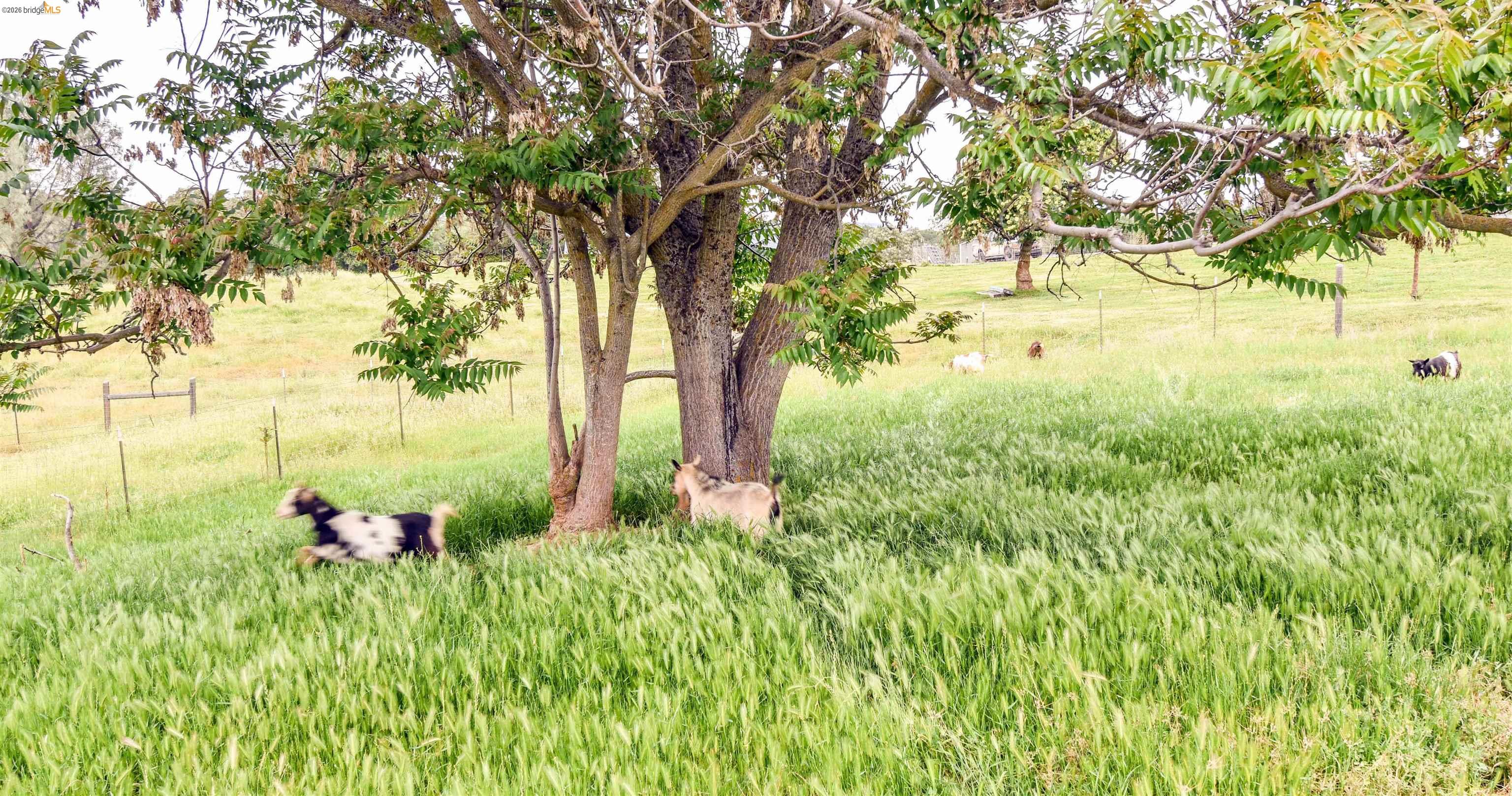 9955 Bell Mooney Rd, Jamestown, CA, 95327