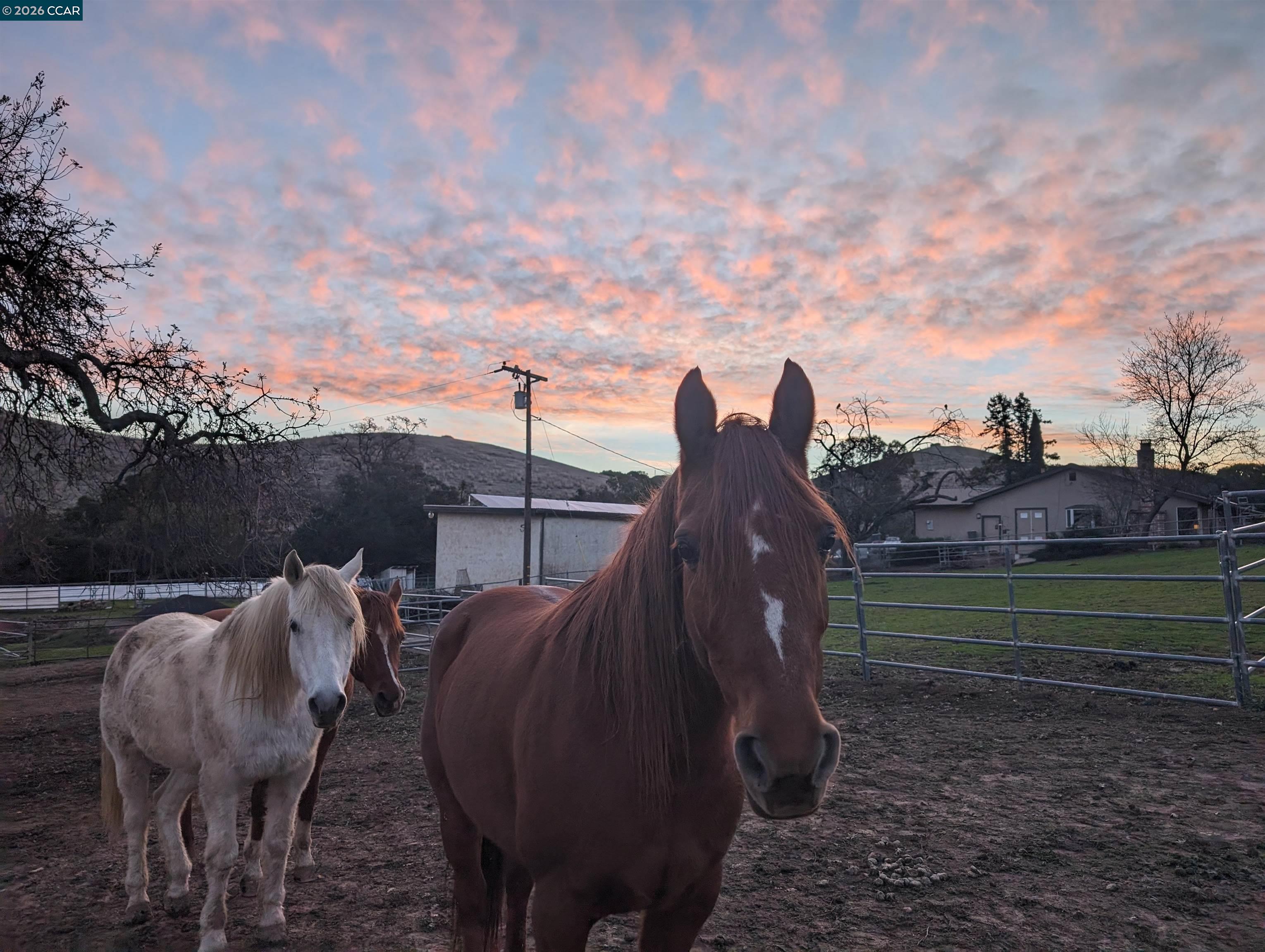 9530 Morgan Territory Rd, Livermore CA 94551 — photo 45