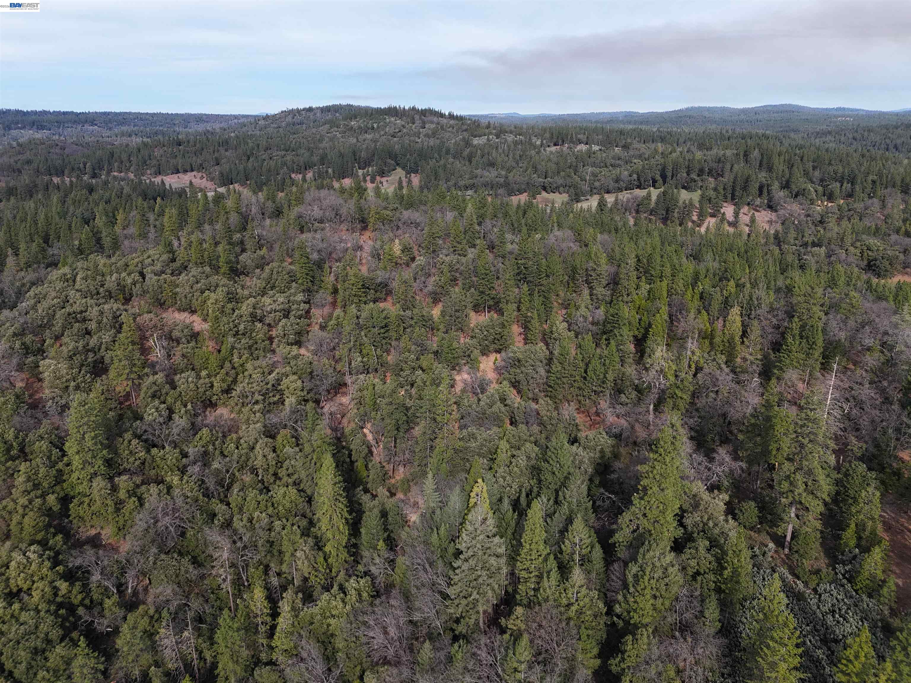 Front Image Thumbnail for BE41130593