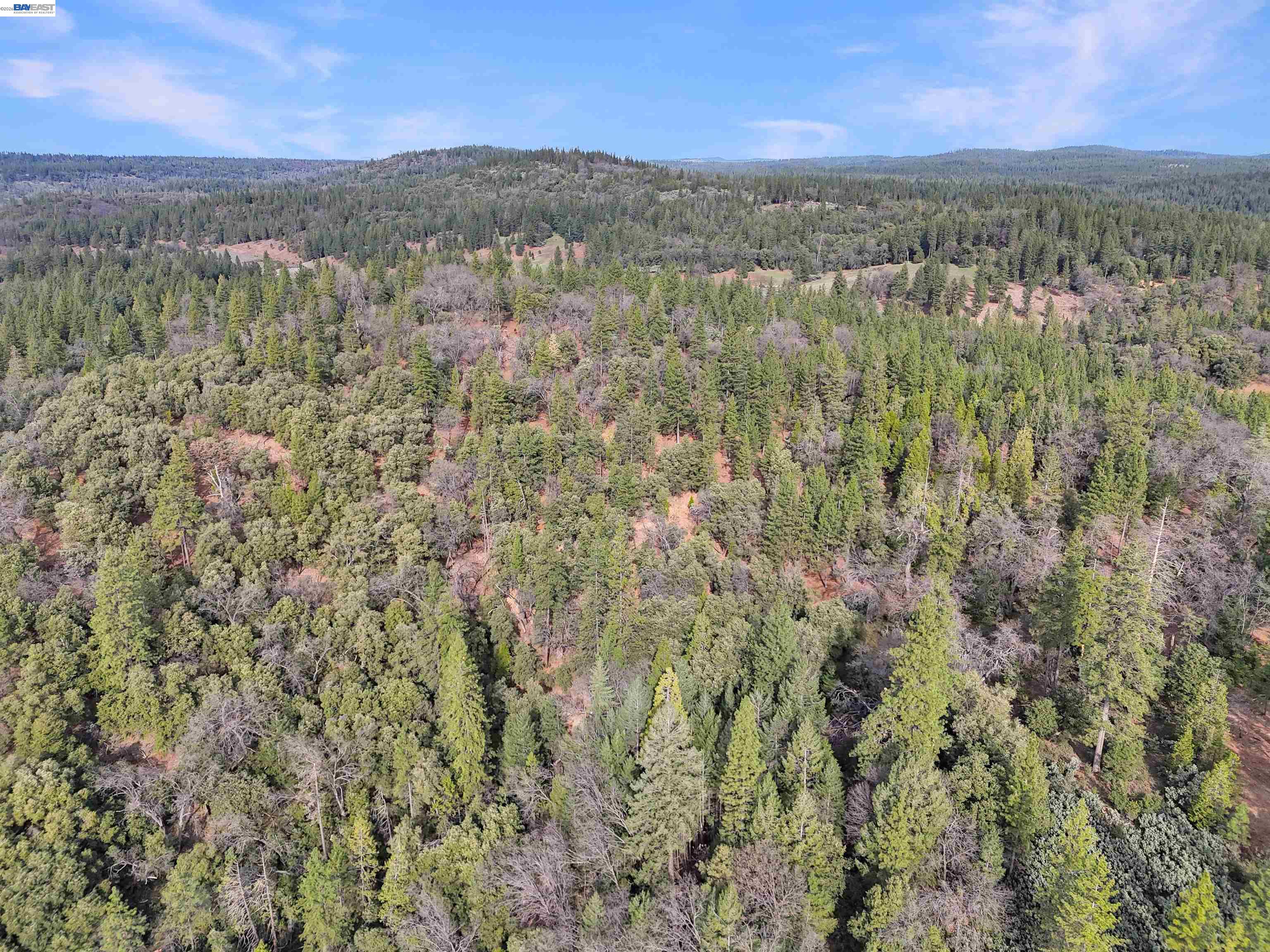 Front Image Thumbnail for BE41130593