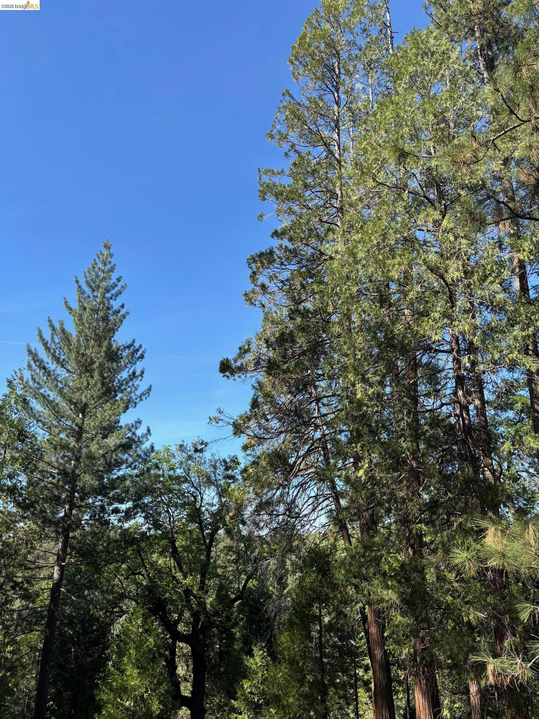 Detail Gallery Image 45 of 46 For 20728 Point View Dr., Groveland,  CA 95321 - 3 Beds | 2/1 Baths