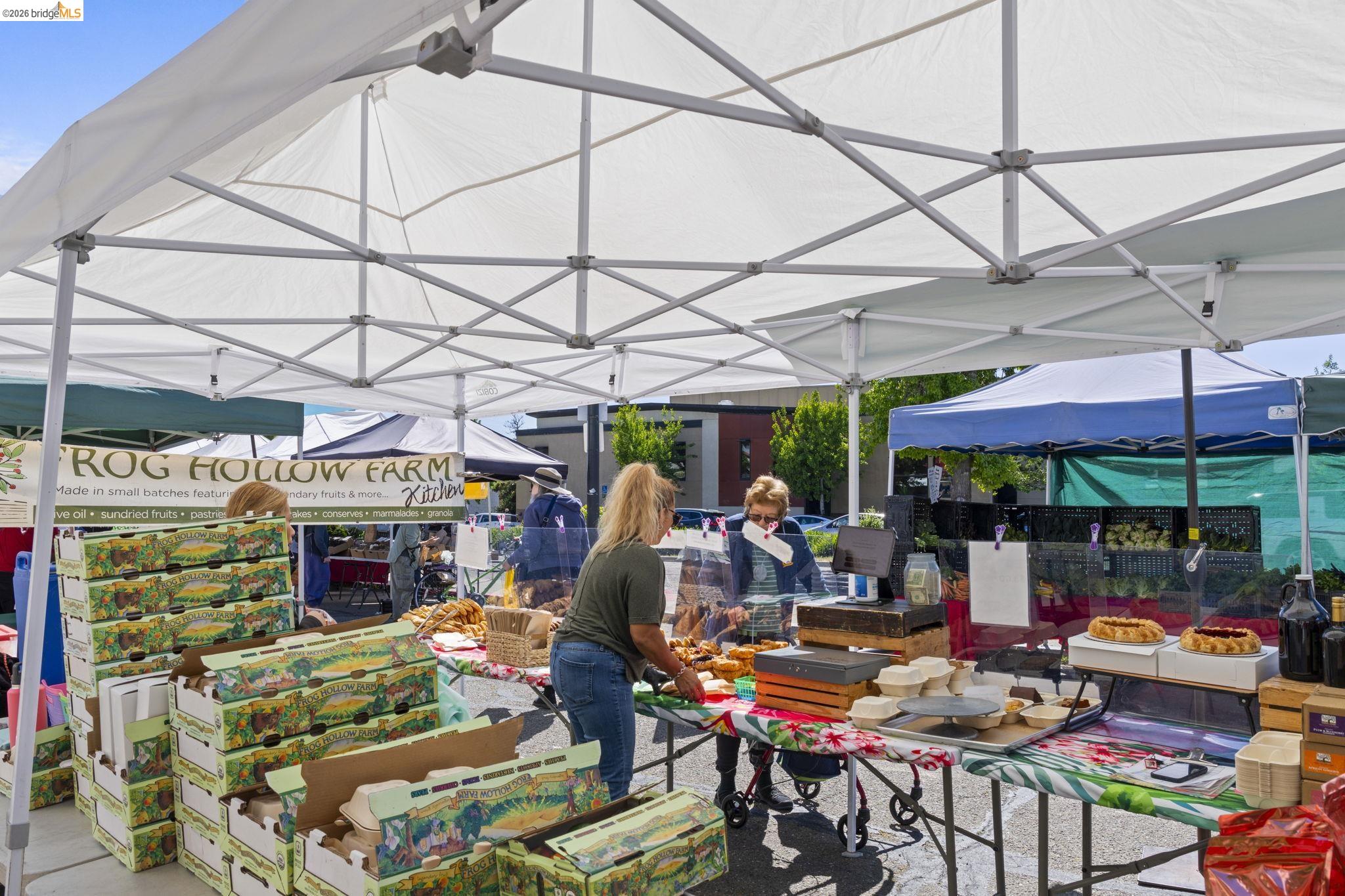 Detail Gallery Image 41 of 42 For 1325 Henry St, Berkeley,  CA 94709 - 3 Beds | 3 Baths