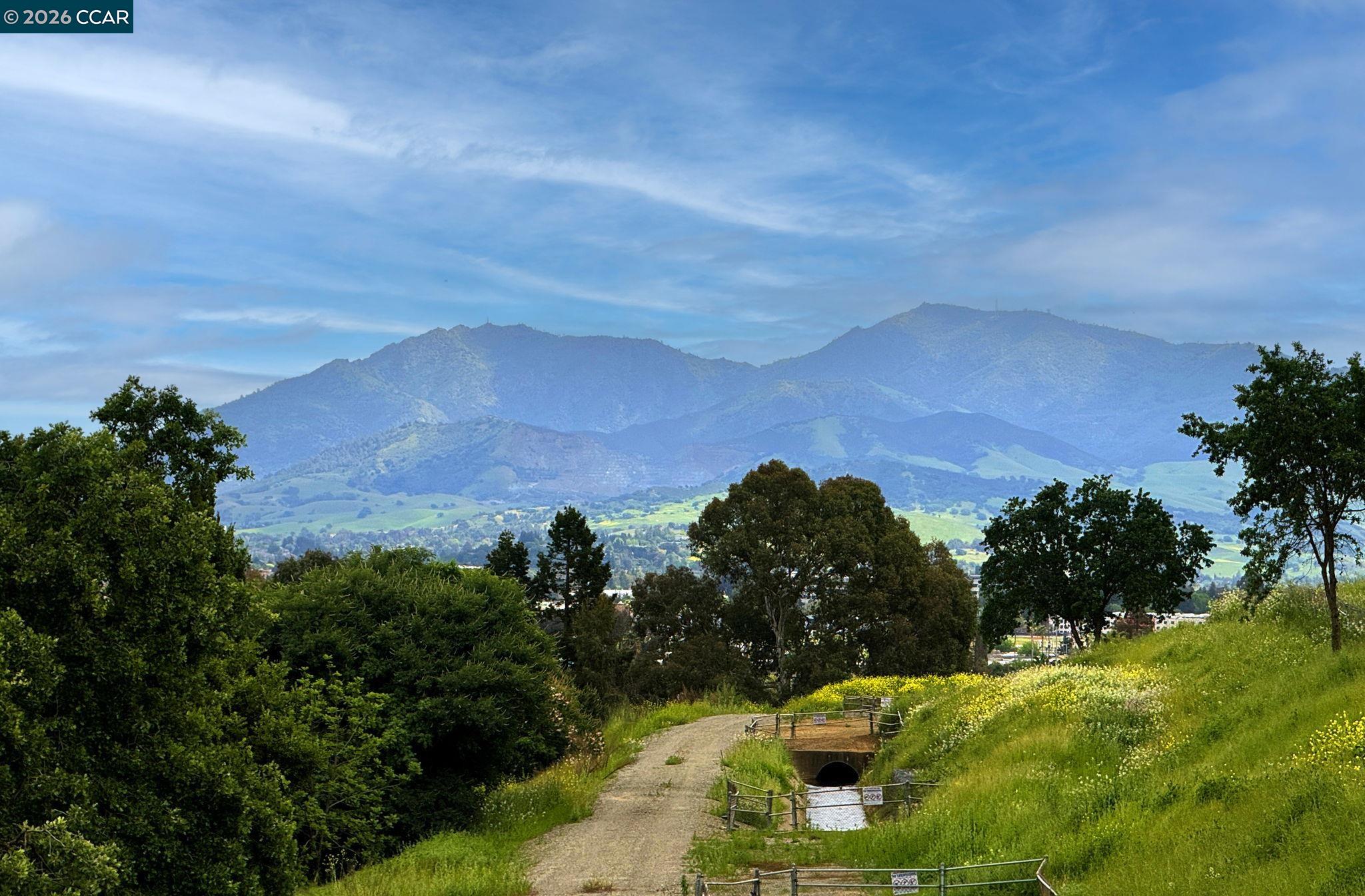 Photo #38: 41130661 Listing: Photo #38