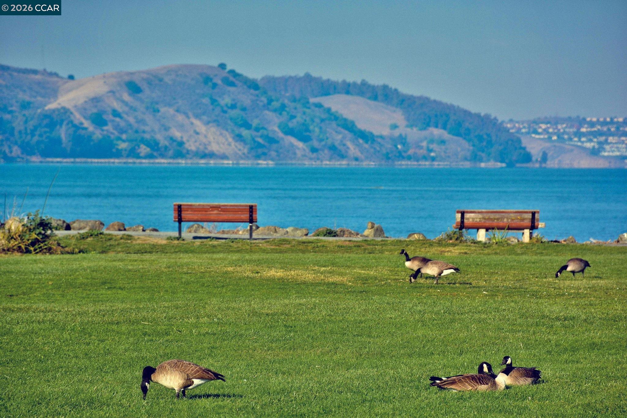 Photo #42: 41130661 Listing: Photo #42