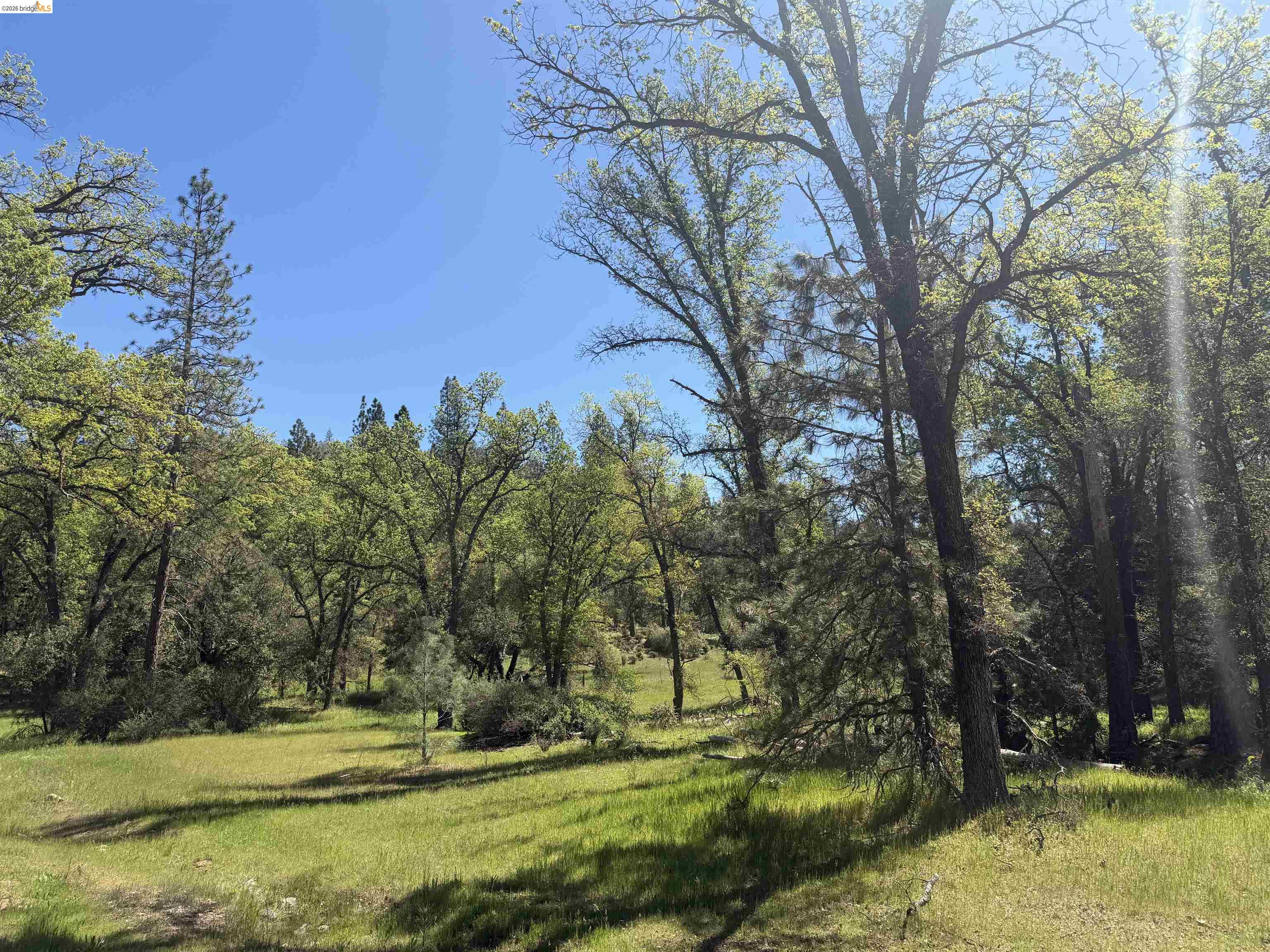 Old Hwy 120, Groveland, CA, 95321