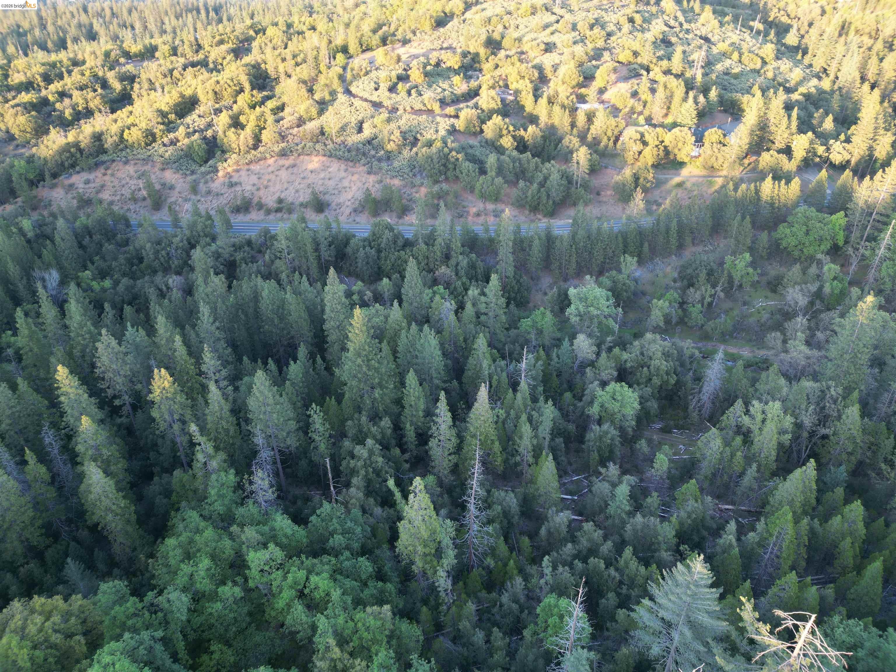 Old Hwy 120, Groveland, CA, 95321