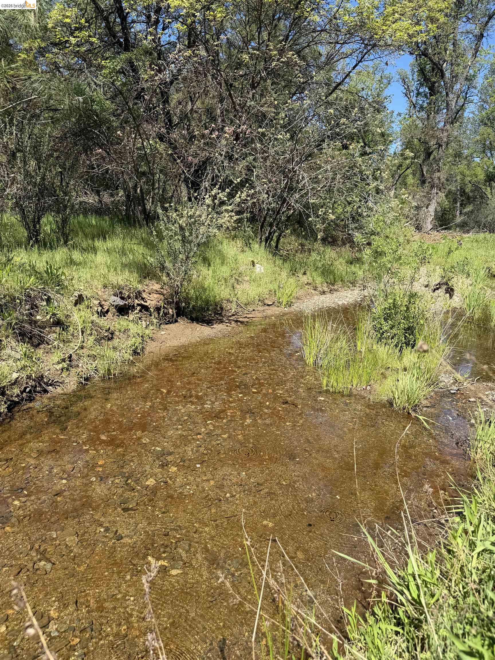 Old Hwy 120, Groveland, CA, 95321