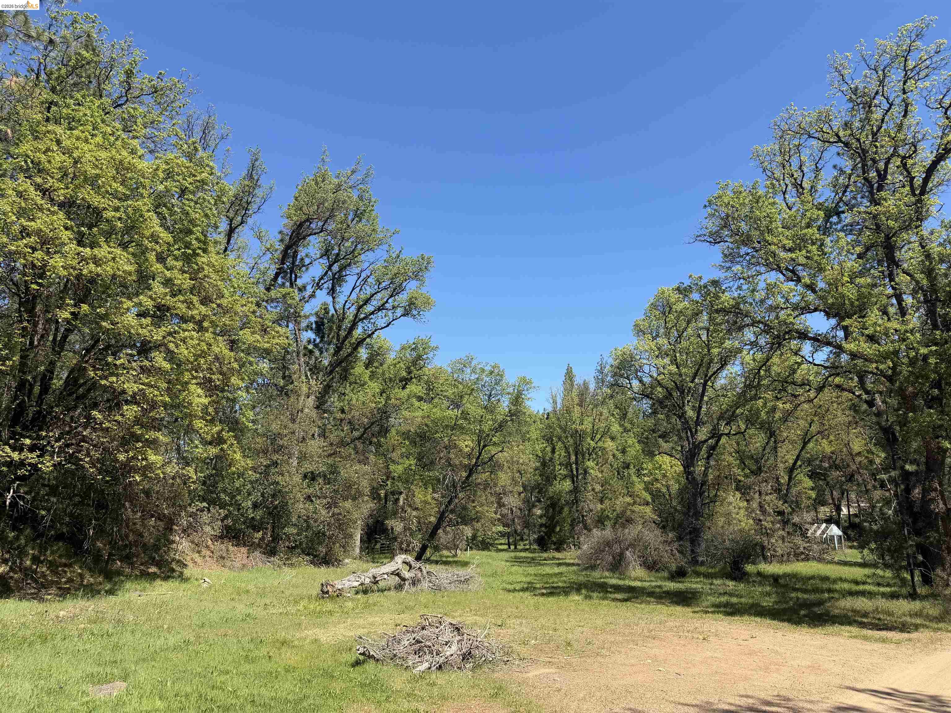 Old Hwy 120, Groveland, CA, 95321