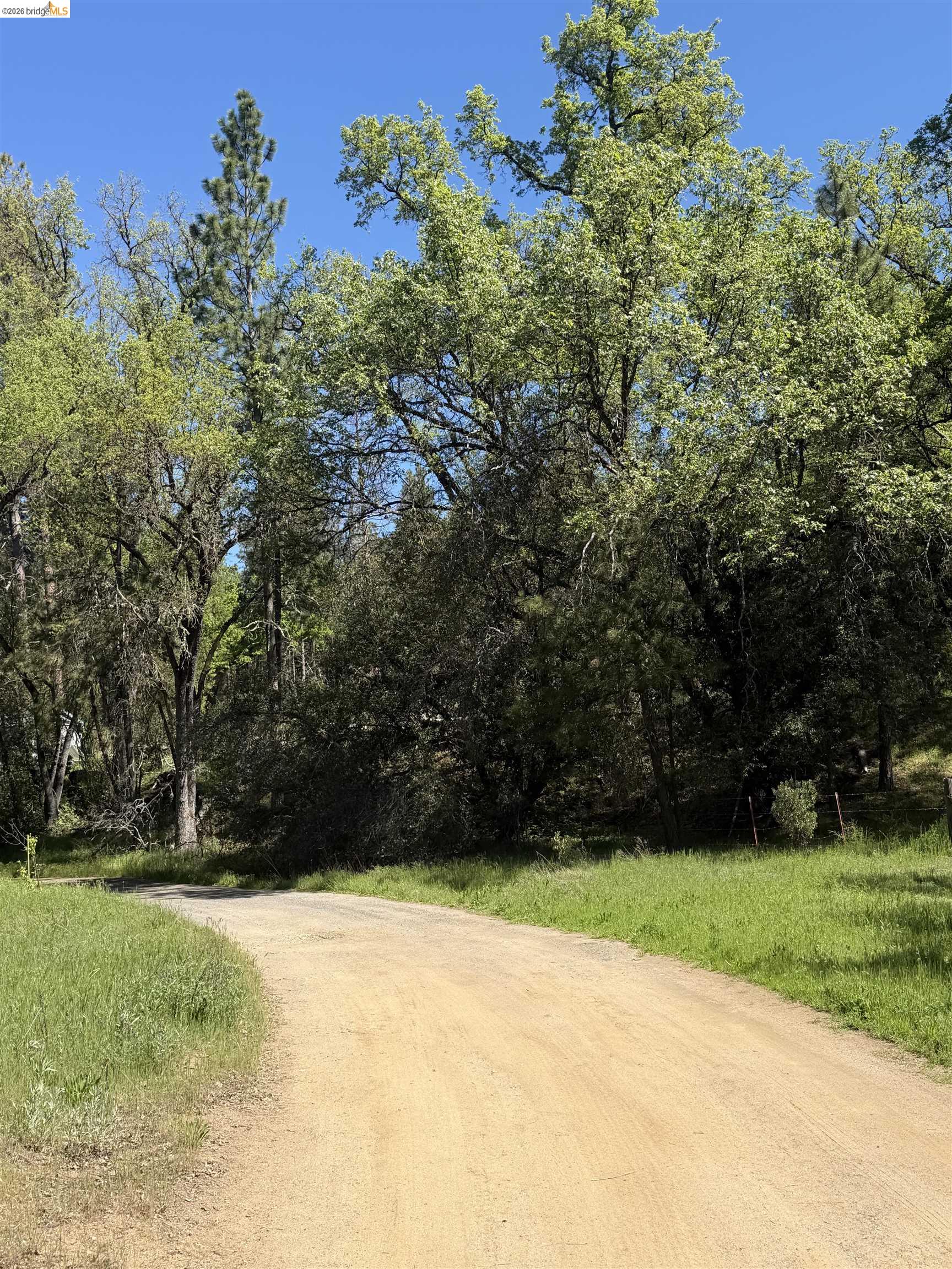 Old Hwy 120, Groveland, CA, 95321