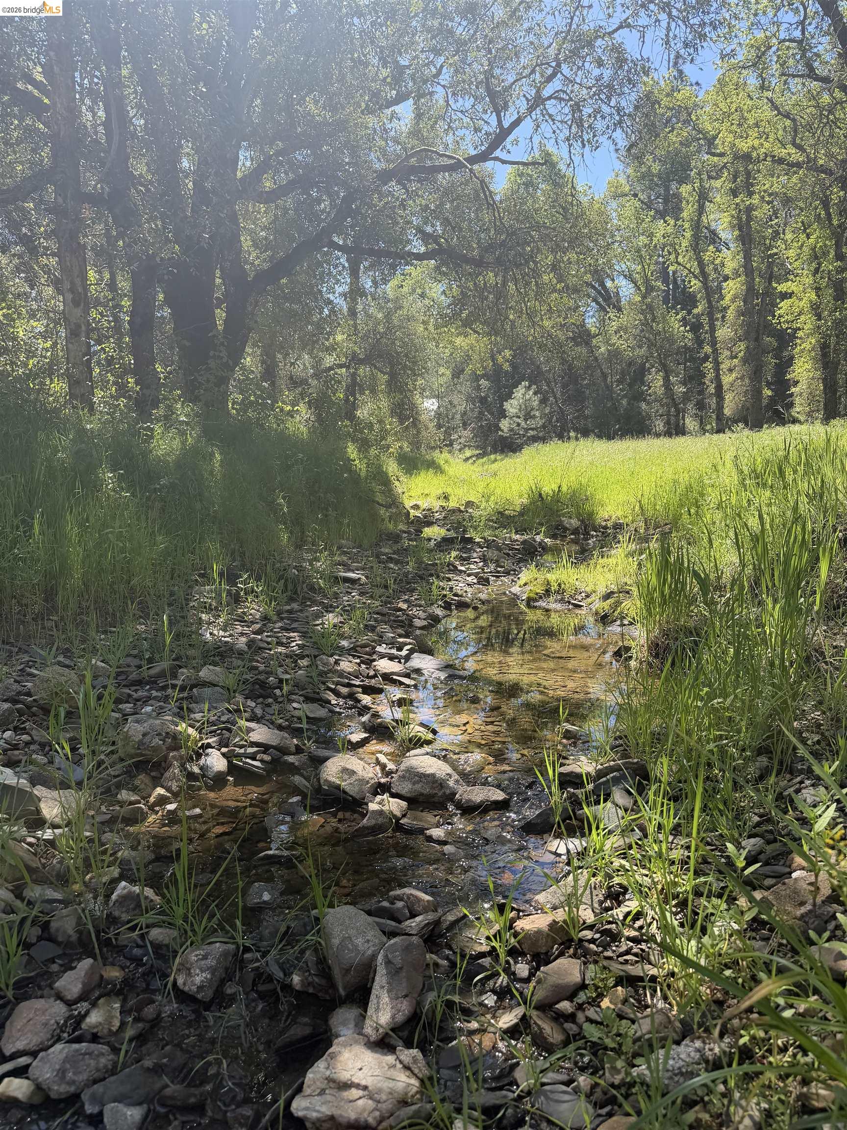 Old Hwy 120, Groveland, CA, 95321