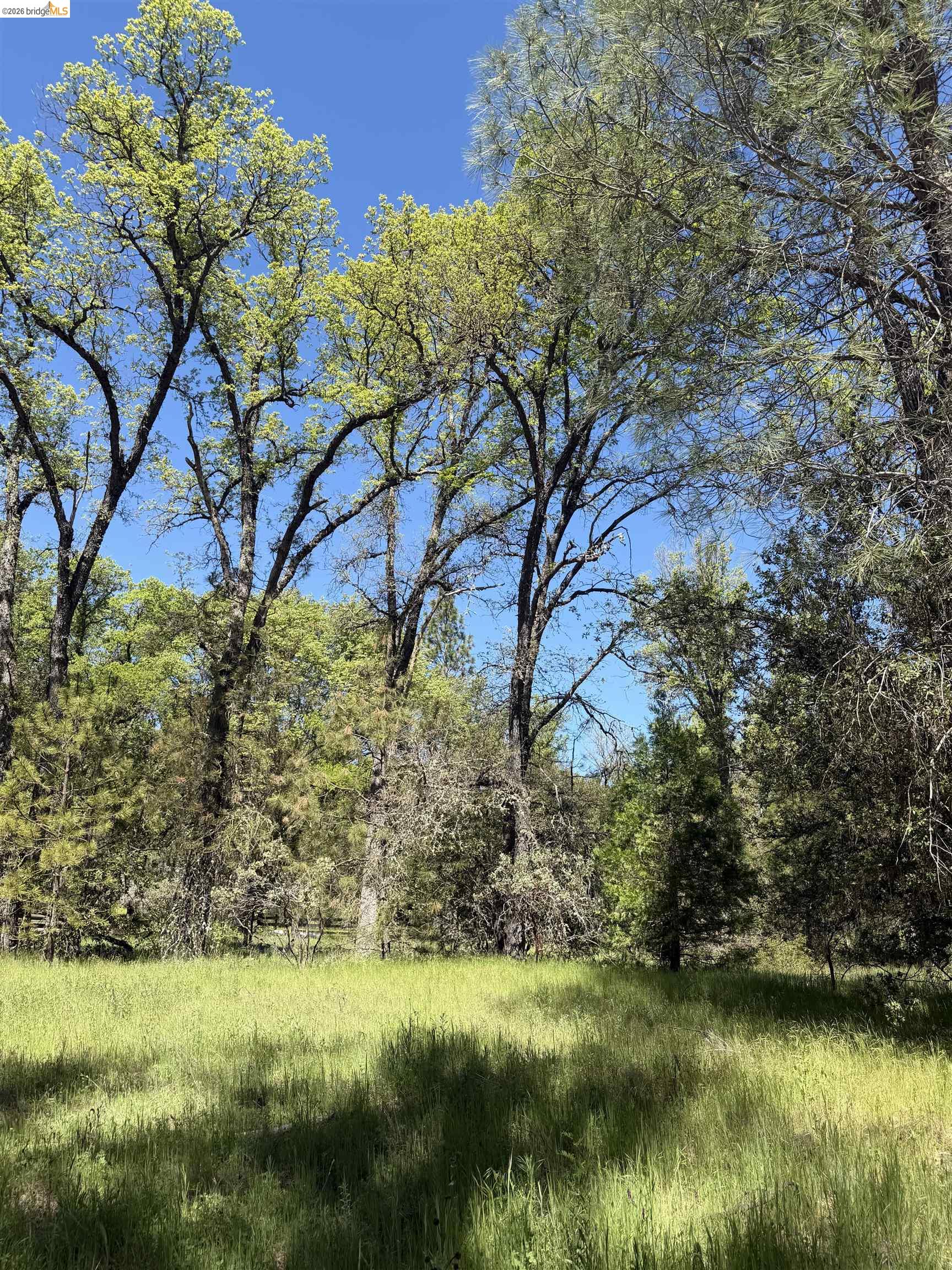 Old Hwy 120, Groveland, CA, 95321