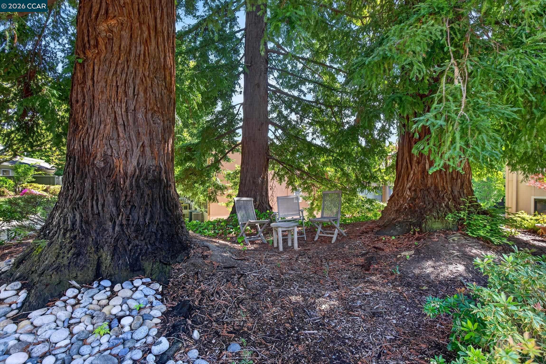 Photo #21: 41130685 Listing: Photo #21