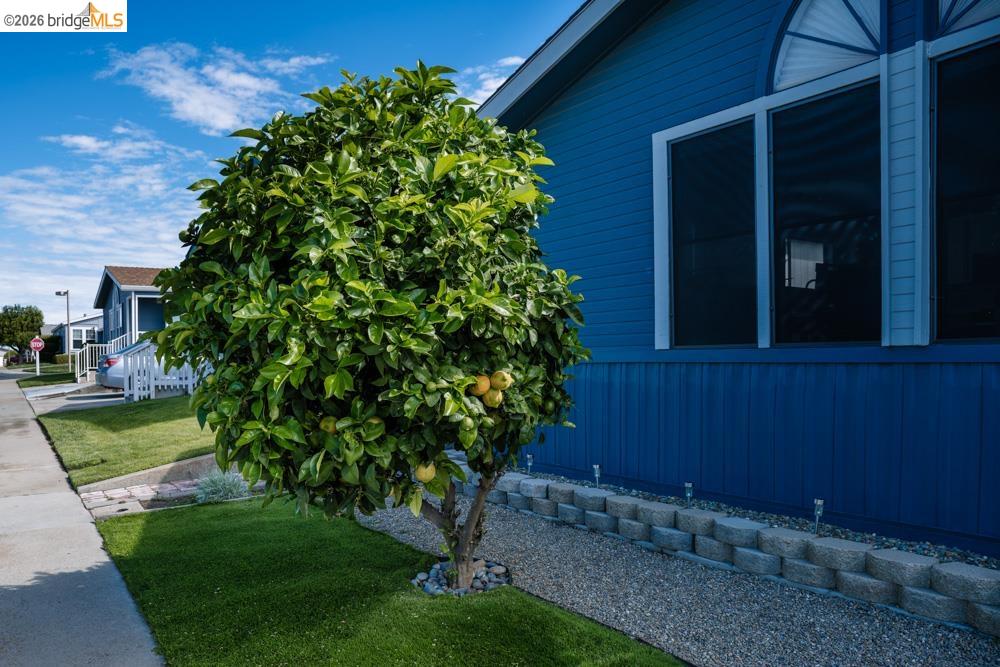 Detail Gallery Image 6 of 36 For 1909 Strasbourg Ln, Antioch,  CA 94509 - 2 Beds | 2 Baths