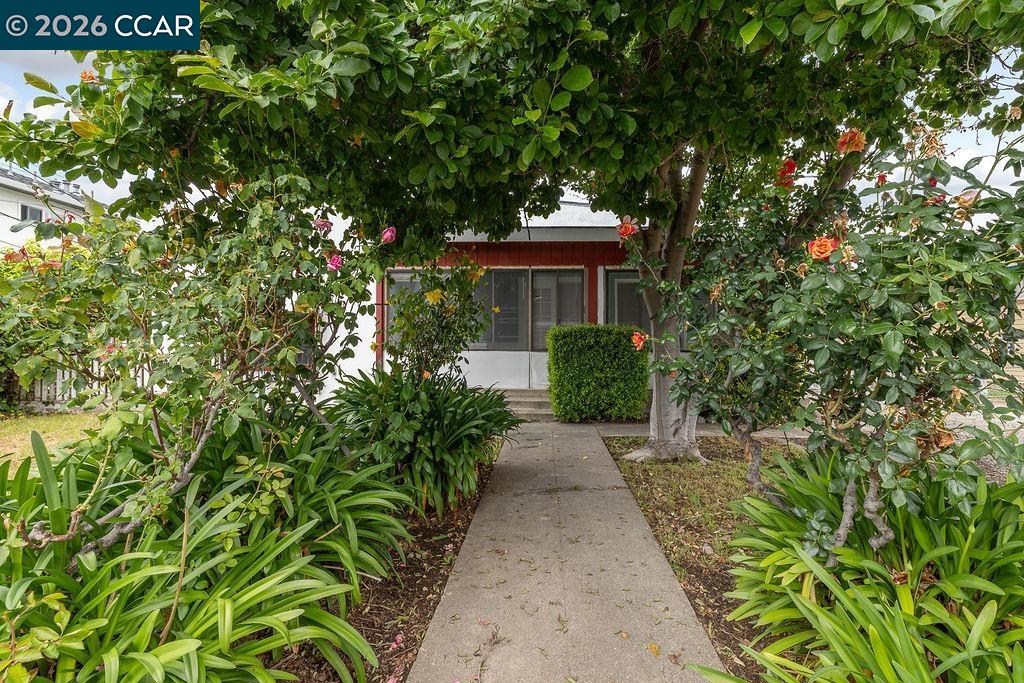 Front Image Thumbnail for CC41130715