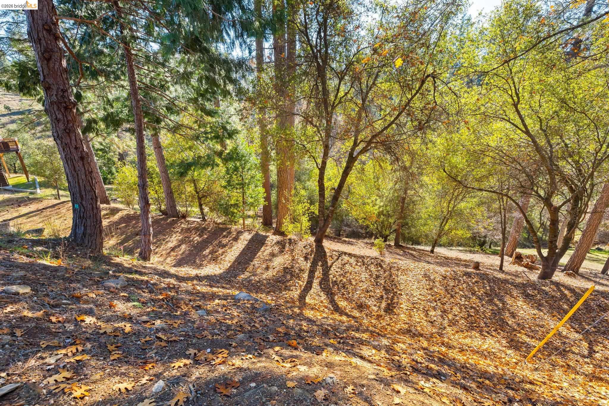 Detail Gallery Image 2 of 28 For 19336 James Cir, Groveland,  CA 95321 - – Beds | – Baths