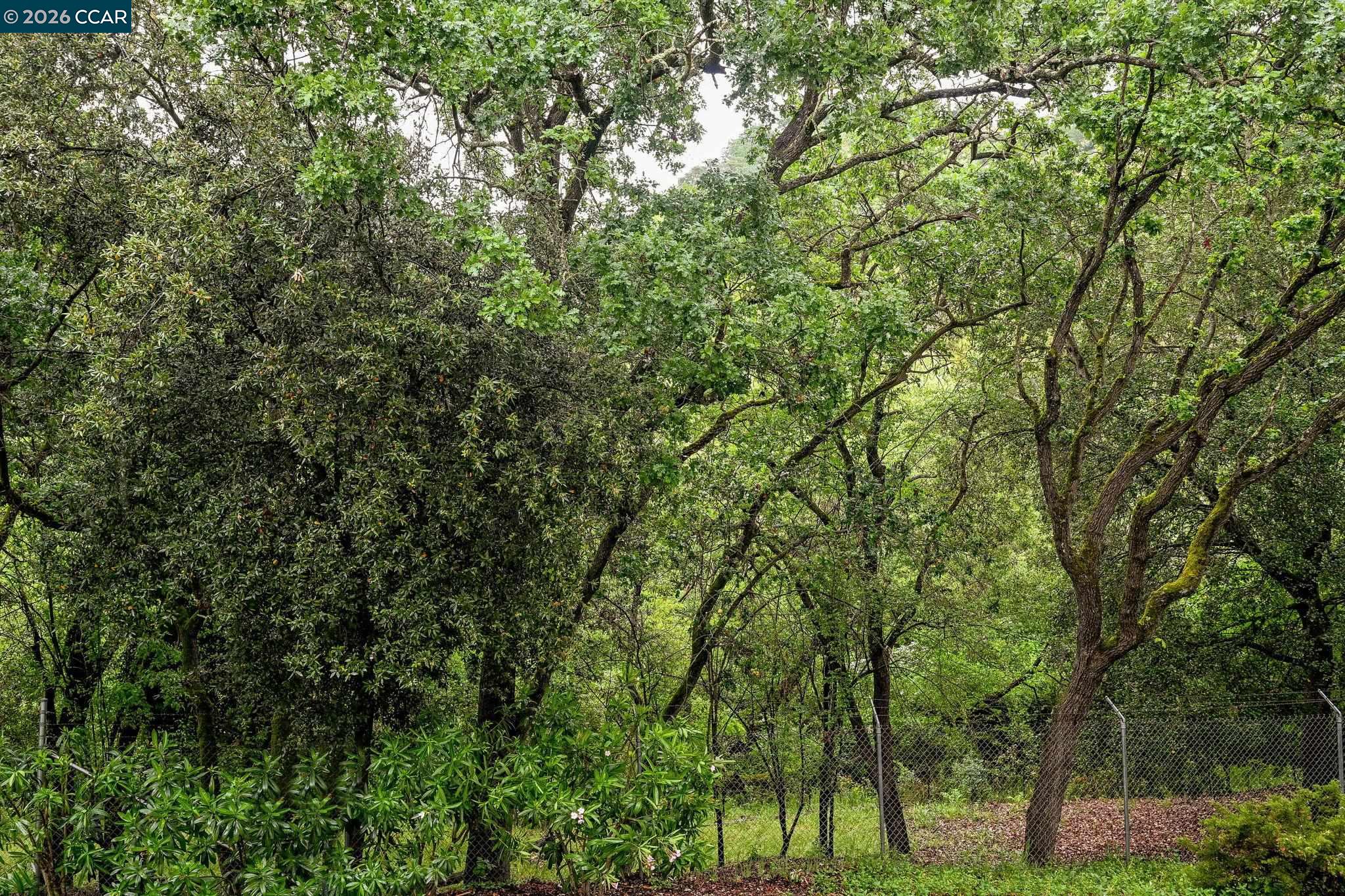 1840 Tice Creek Dr UNIT 2236, Walnut Creek, CA, 94595