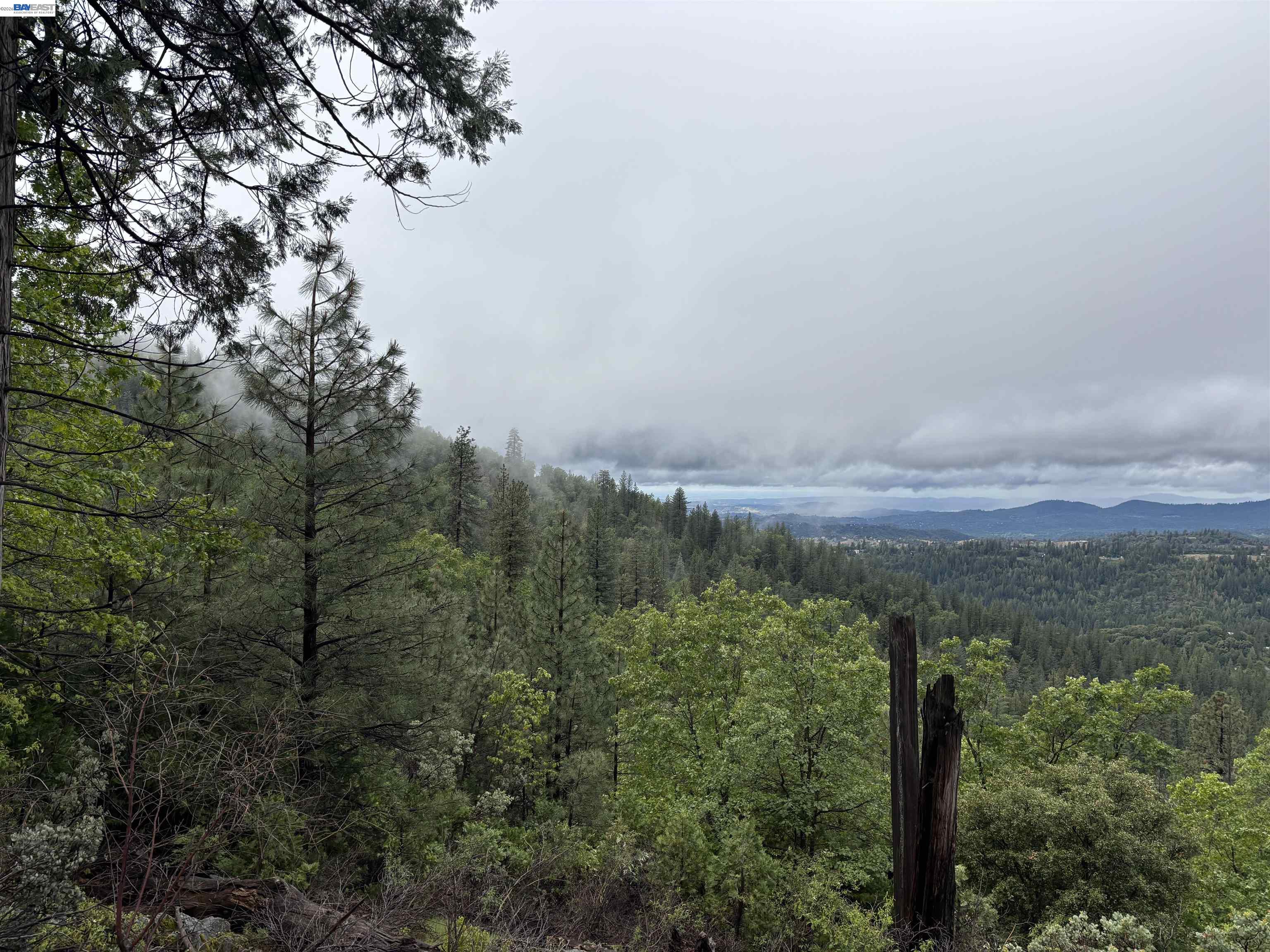 20800 Mount Provo Road, Twain Harte, CA, 95383