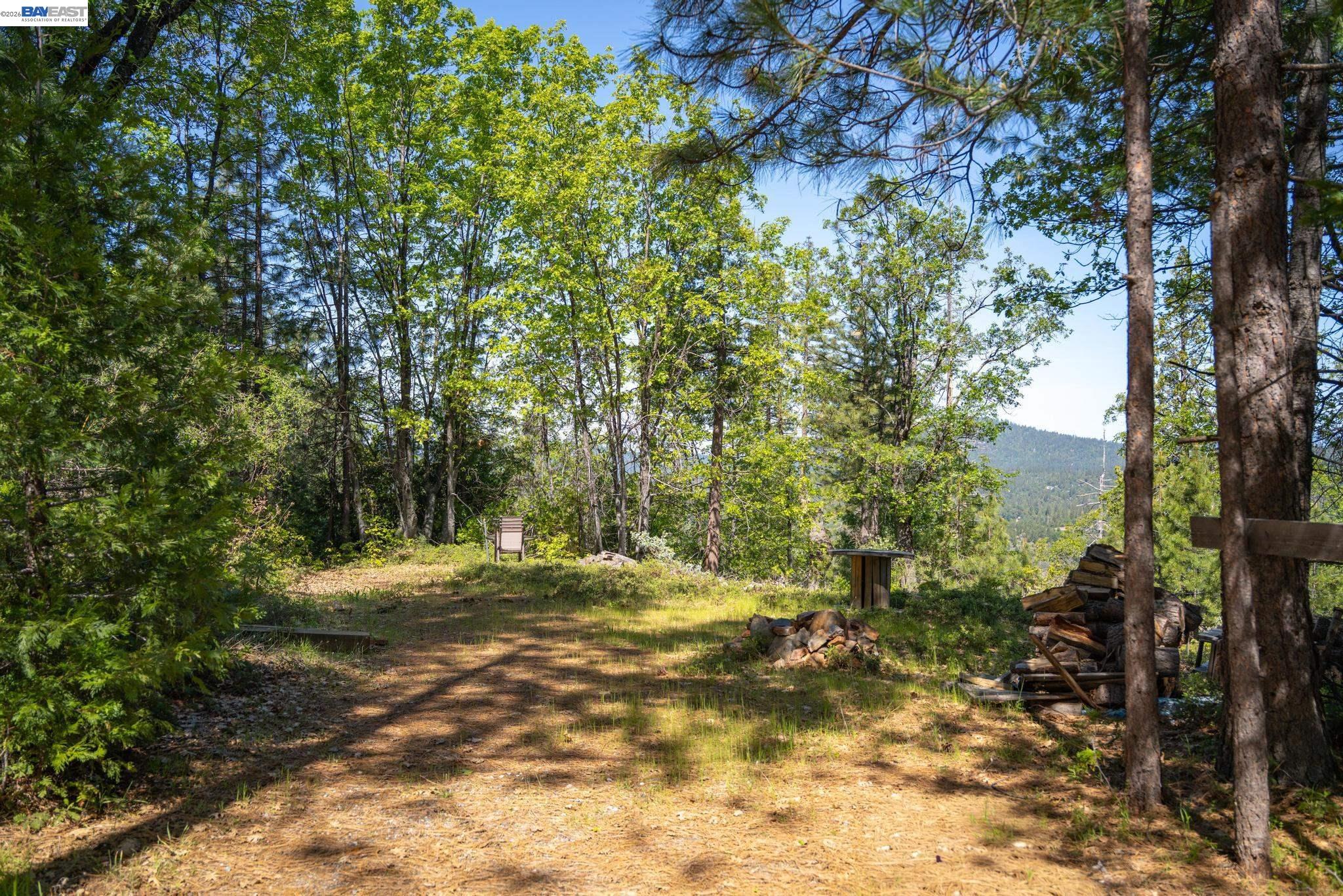 20800 Mount Provo Road, Twain Harte CA 95383 — photo 14