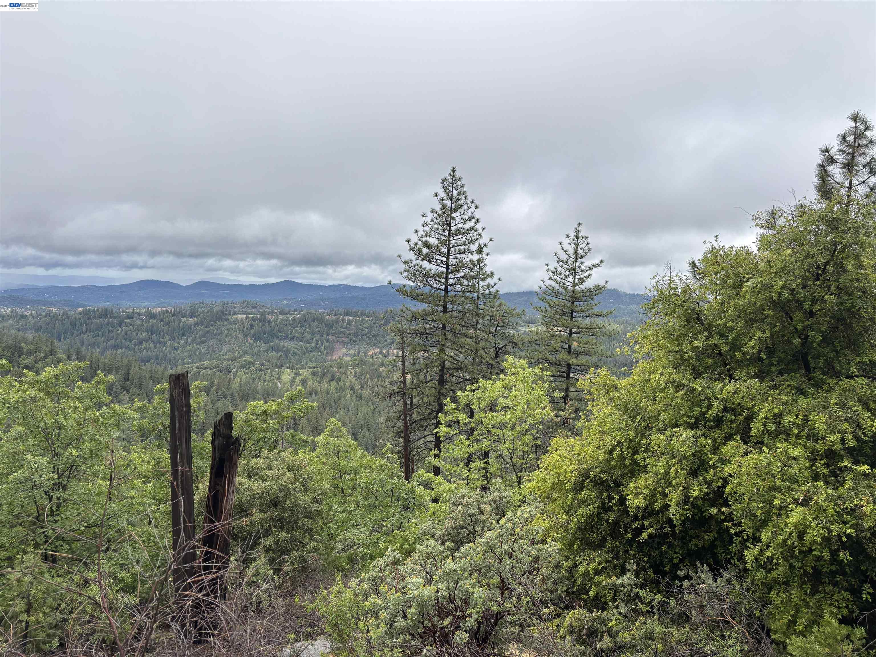 20800 Mount Provo Road, Twain Harte, CA, 95383