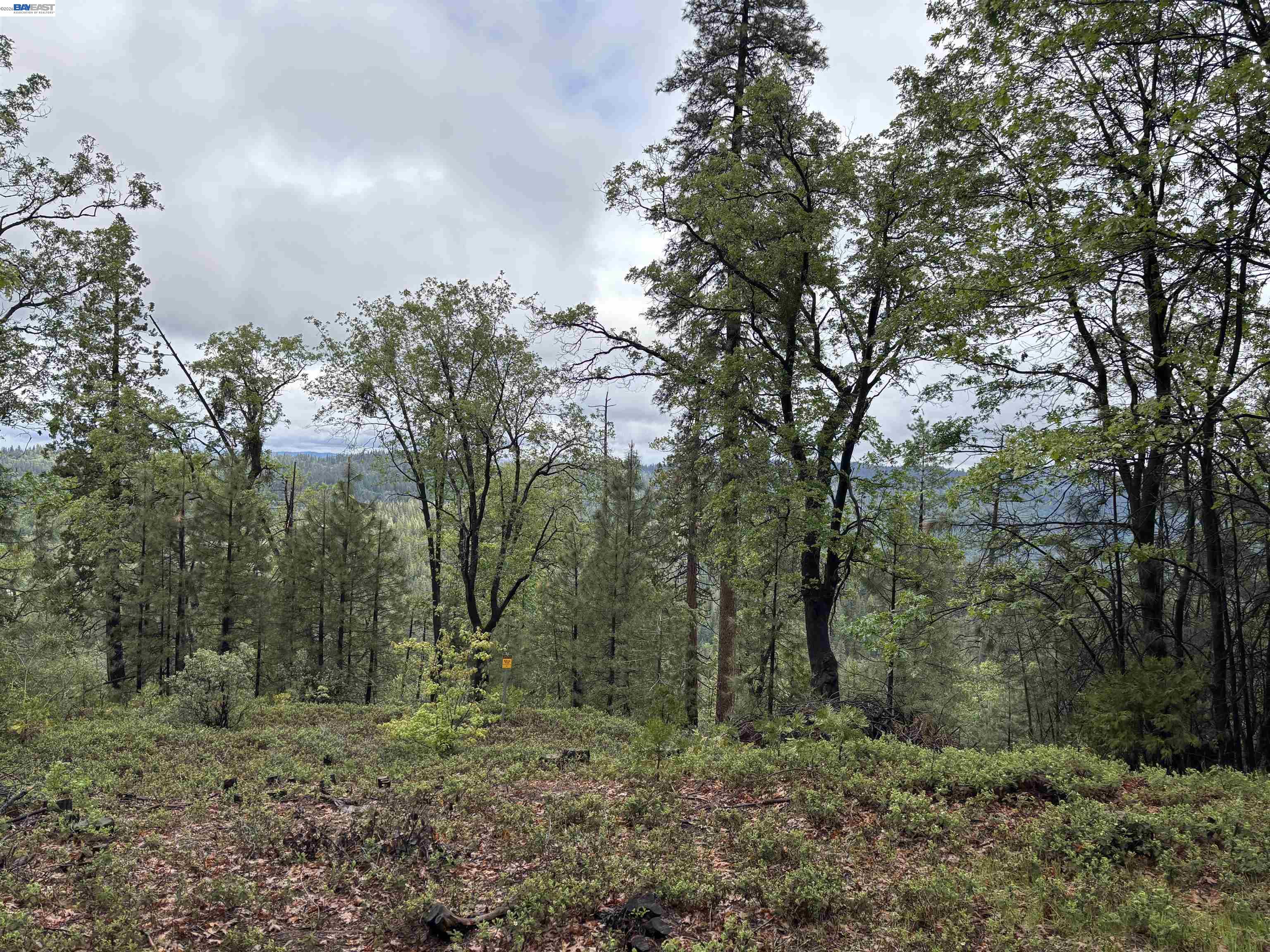 20800 Mount Provo Road, Twain Harte, CA, 95383