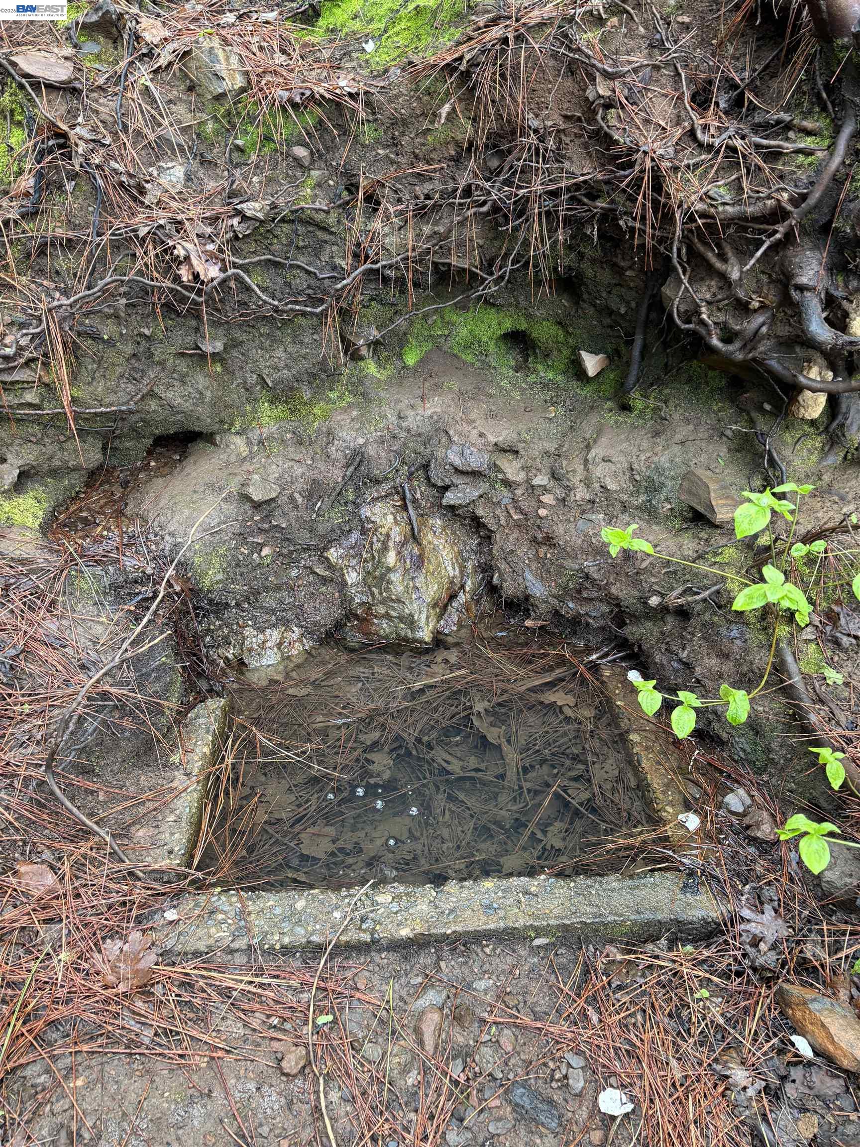 20800 Mount Provo Road, Twain Harte, CA, 95383