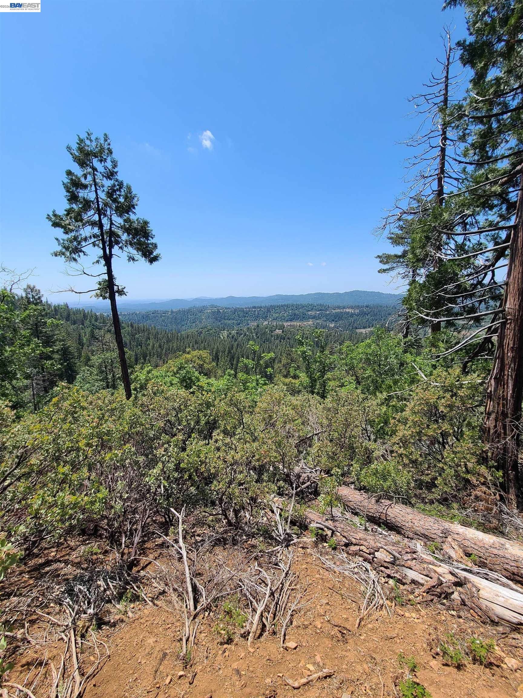 20800 Mount Provo Road, Twain Harte, CA, 95383