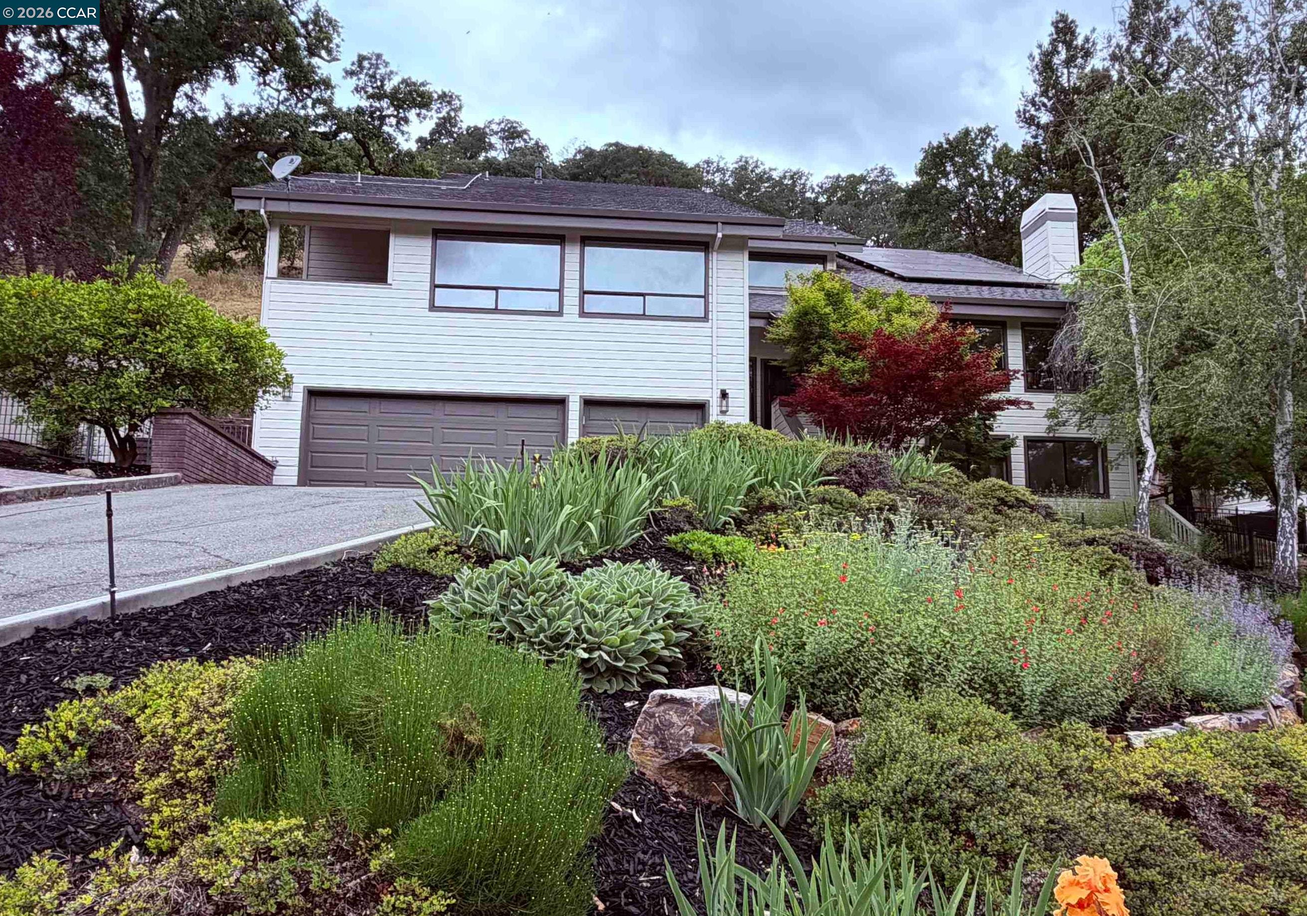Walnut Creek  CA Open Houses