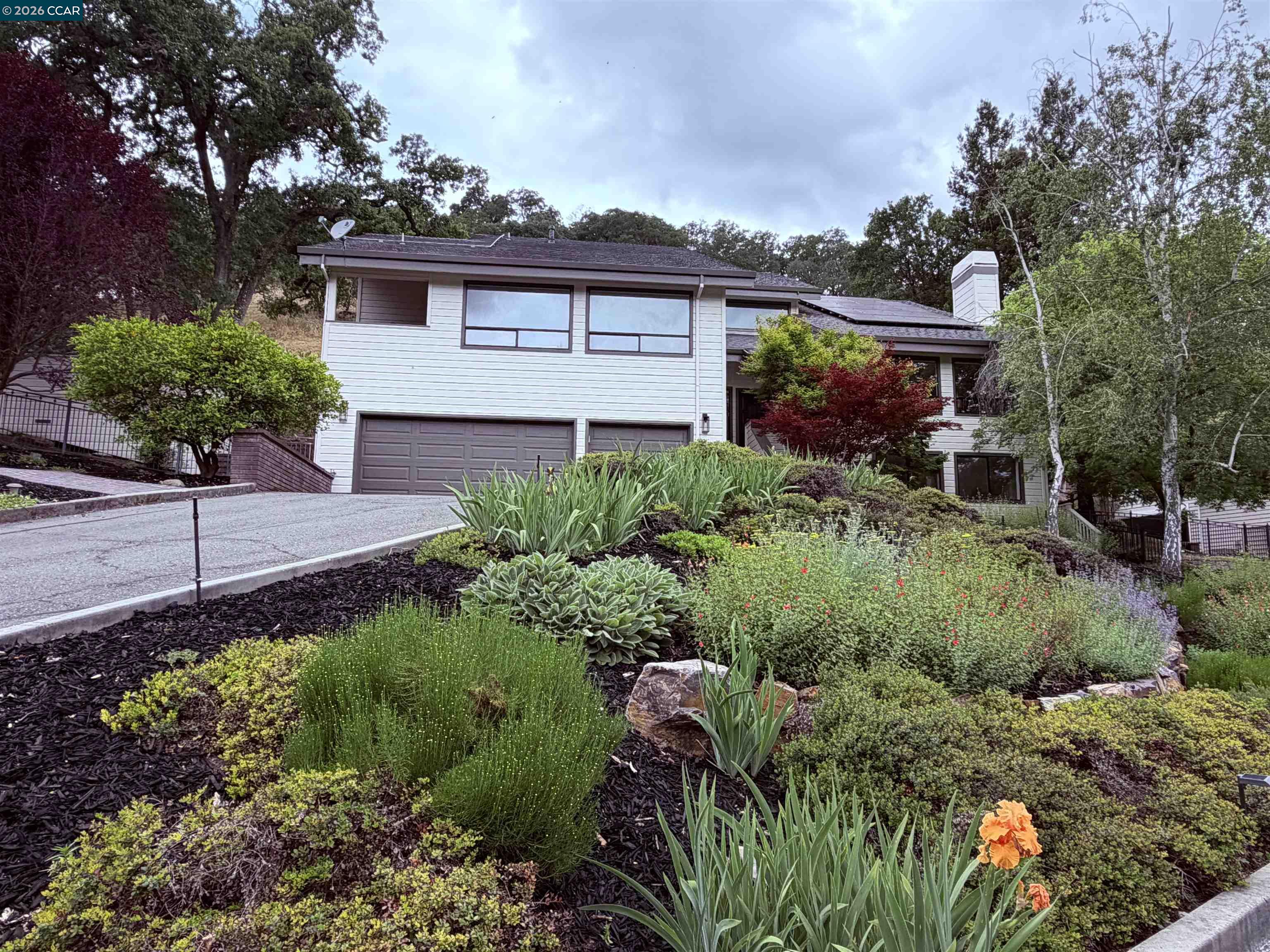 58 Saddle Rd., Walnut Creek, CA, 94595