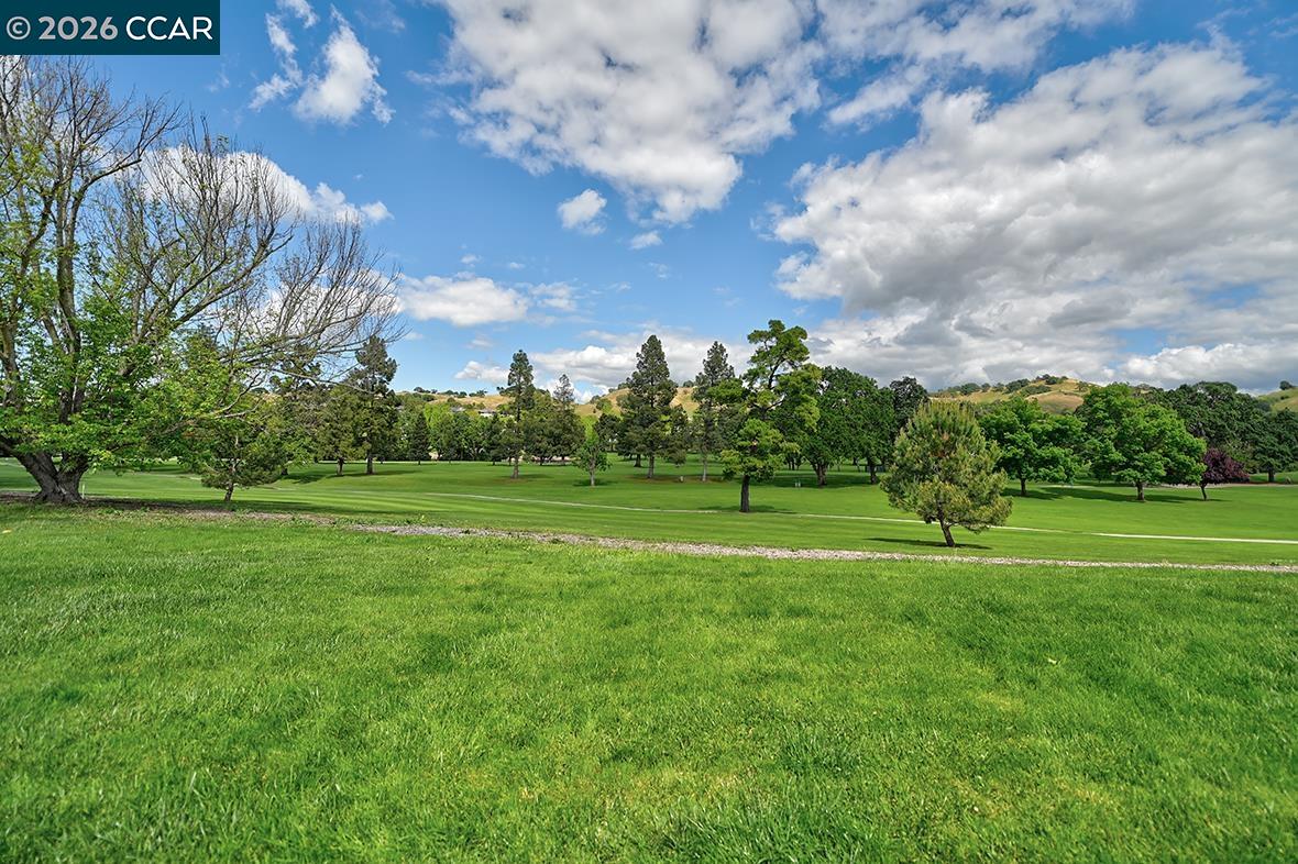 Photo #15: 41130842 Listing: Photo #15