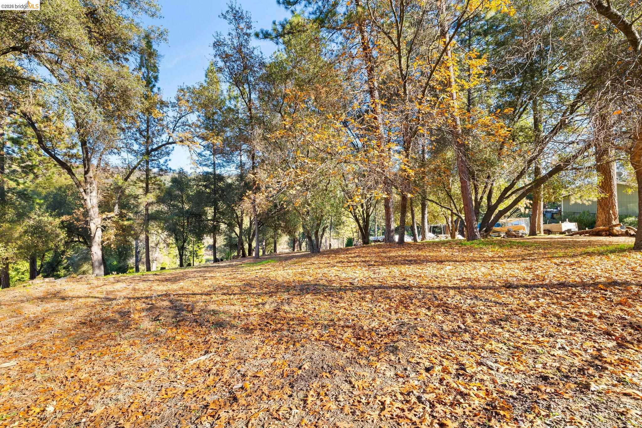 Detail Gallery Image 6 of 31 For 13212 Mohrmann St, Groveland,  CA 95321 - – Beds | – Baths