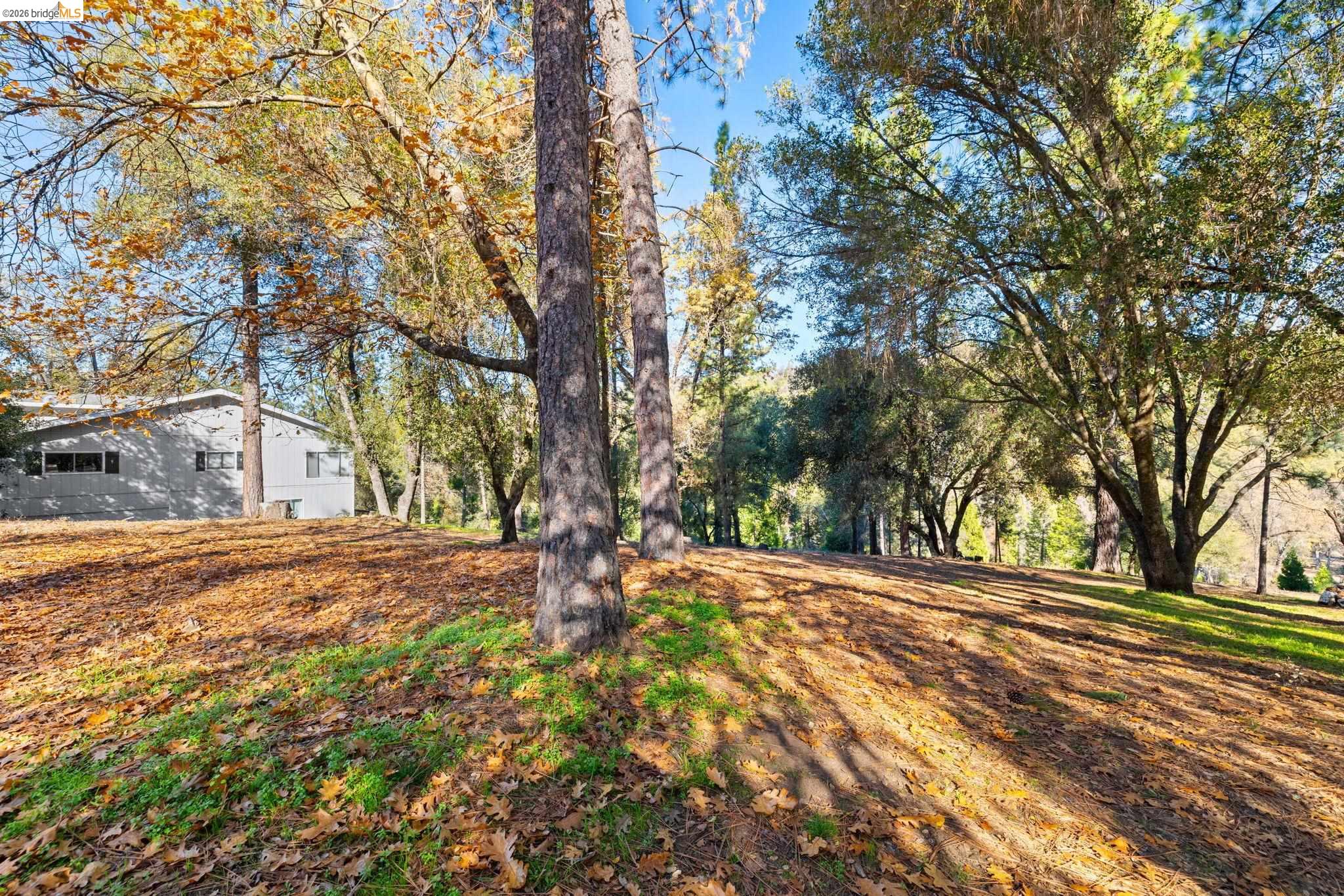 Detail Gallery Image 9 of 31 For 13212 Mohrmann St, Groveland,  CA 95321 - – Beds | – Baths